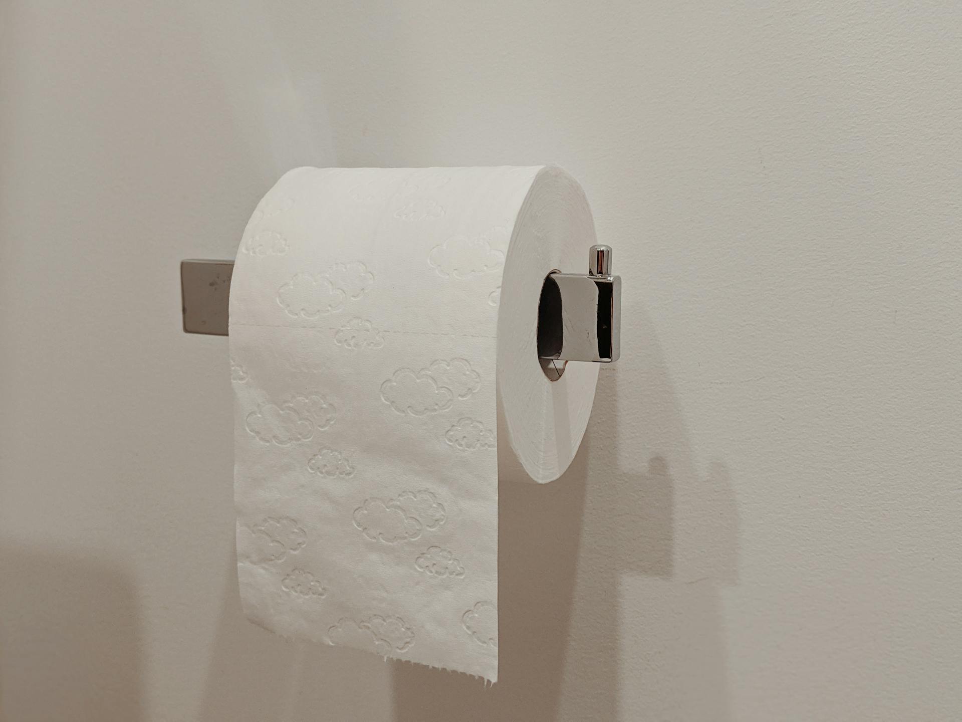A roll of toilet paper | Source: Pexels