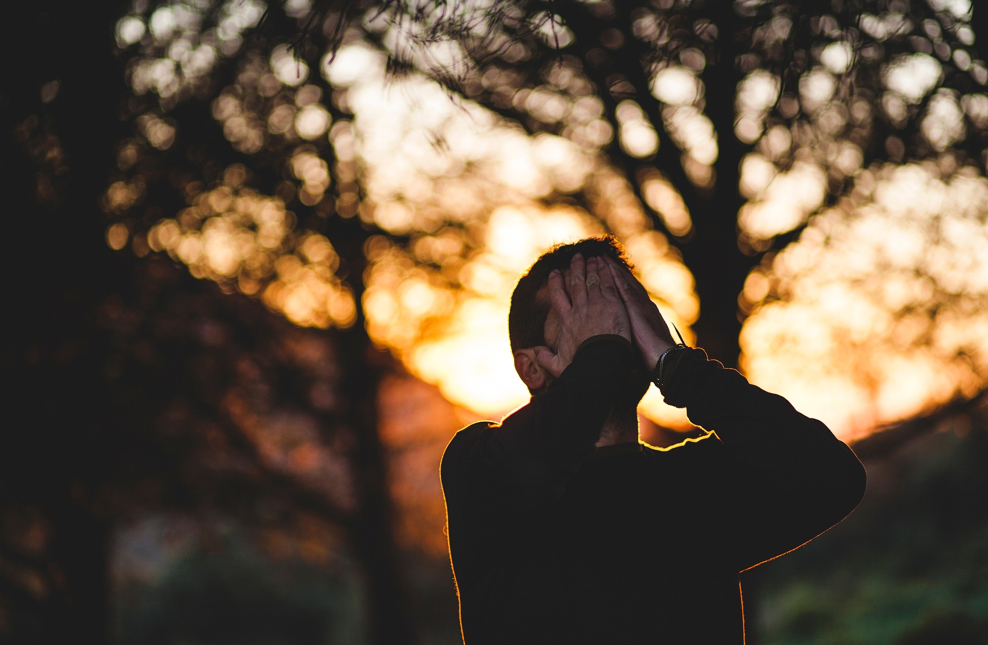 A heartbroken man holding his head | Source: Pixabay