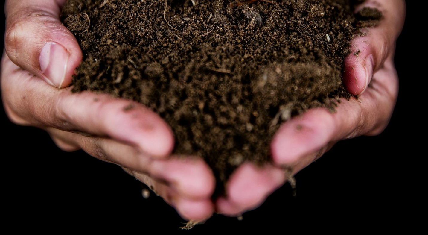 A person holding a handful of soil | Source: Pexels