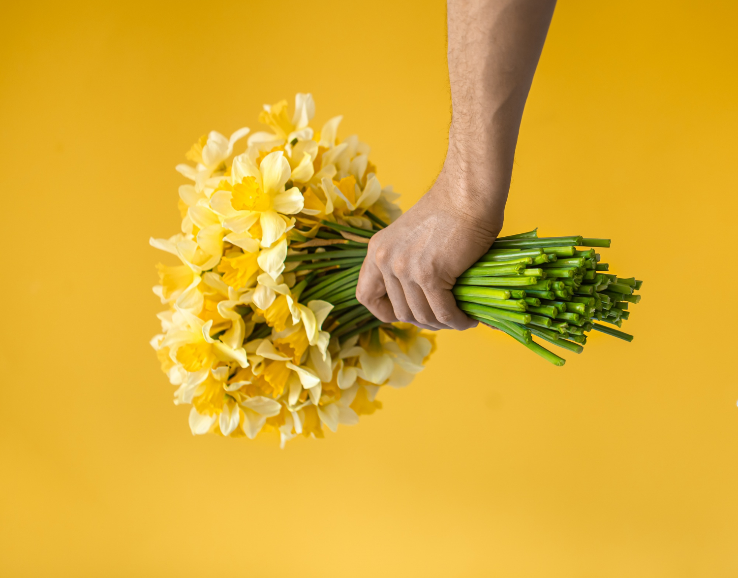 Close-up shot of a man holding a bunch of flowers | Source: Freepik