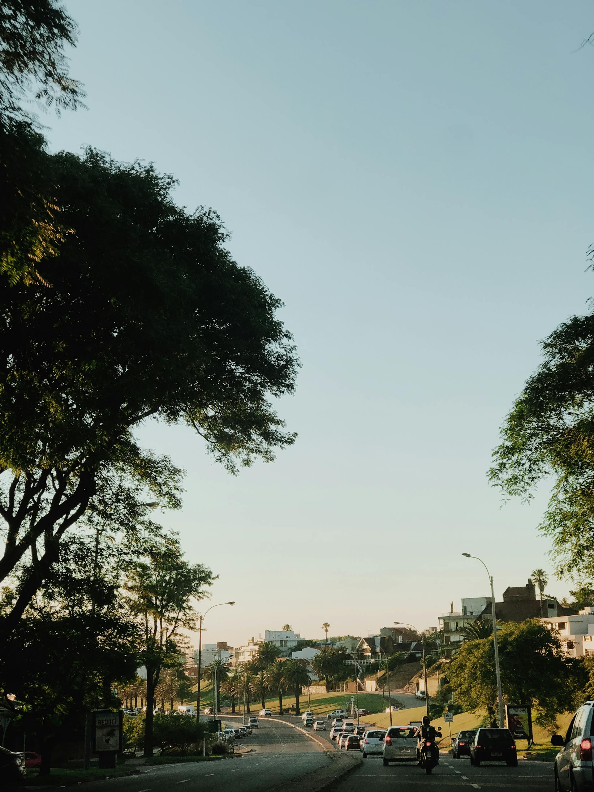 Suburban traffic | Source: Pexels