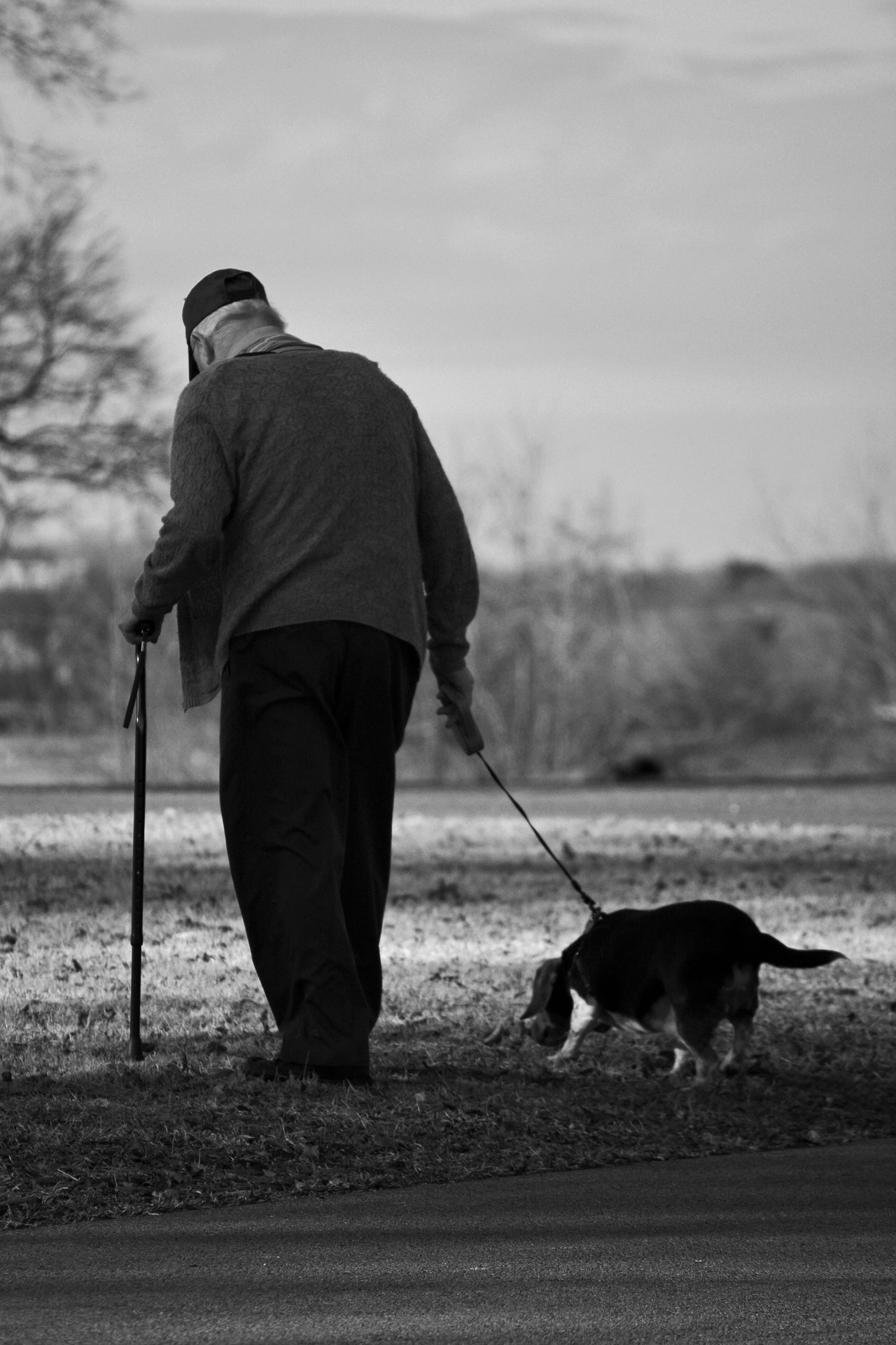 Fotografía en escala de grises de un hombre mayor paseando a su perro | Fuente: Pixabay