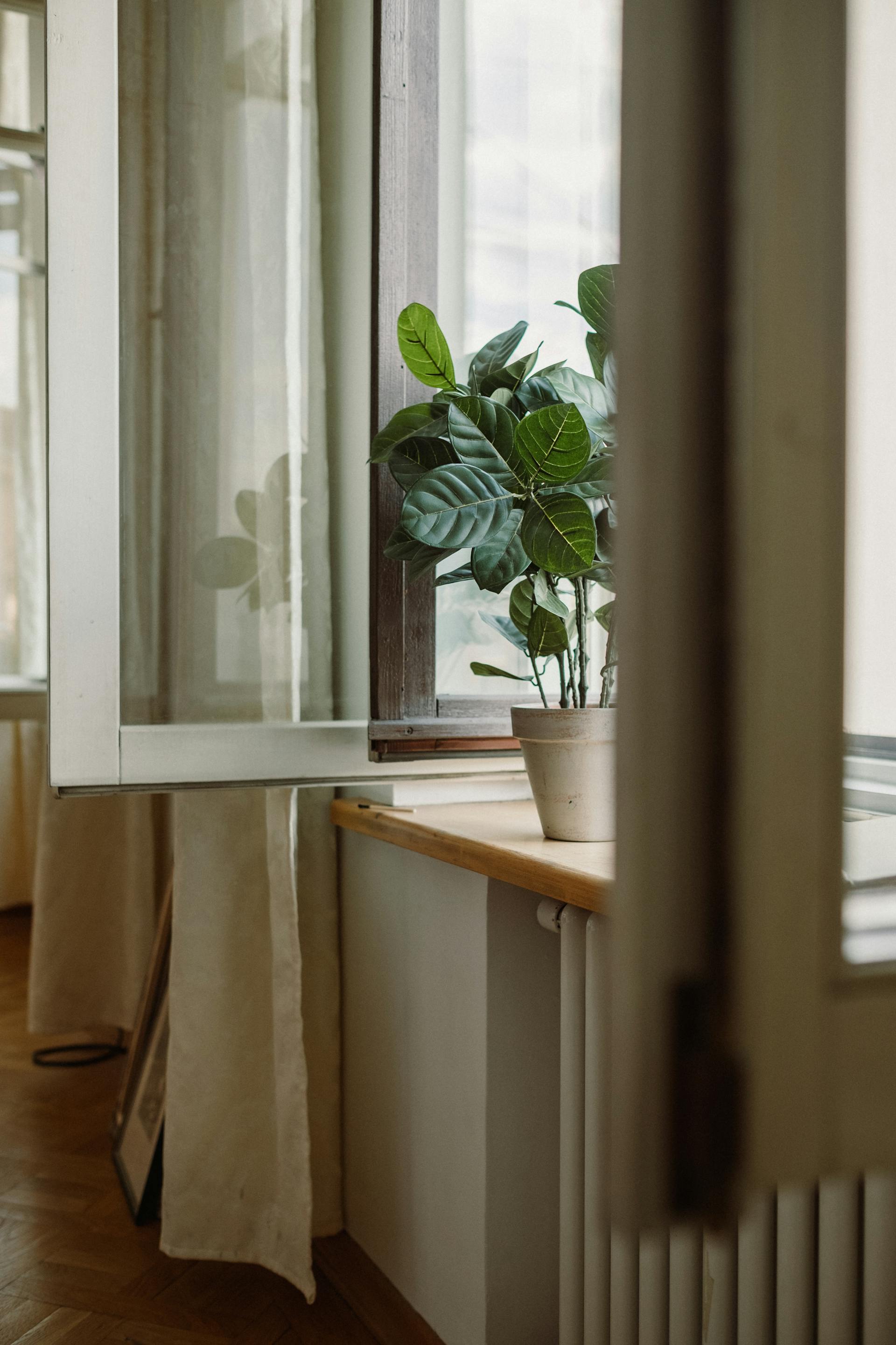 Open windows in a house | Source: Pexels