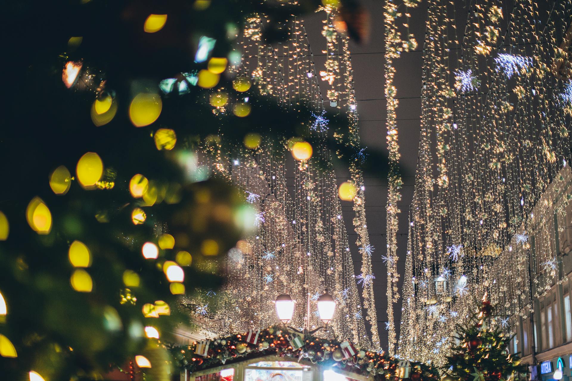 Christmas lights | Source: Pexels