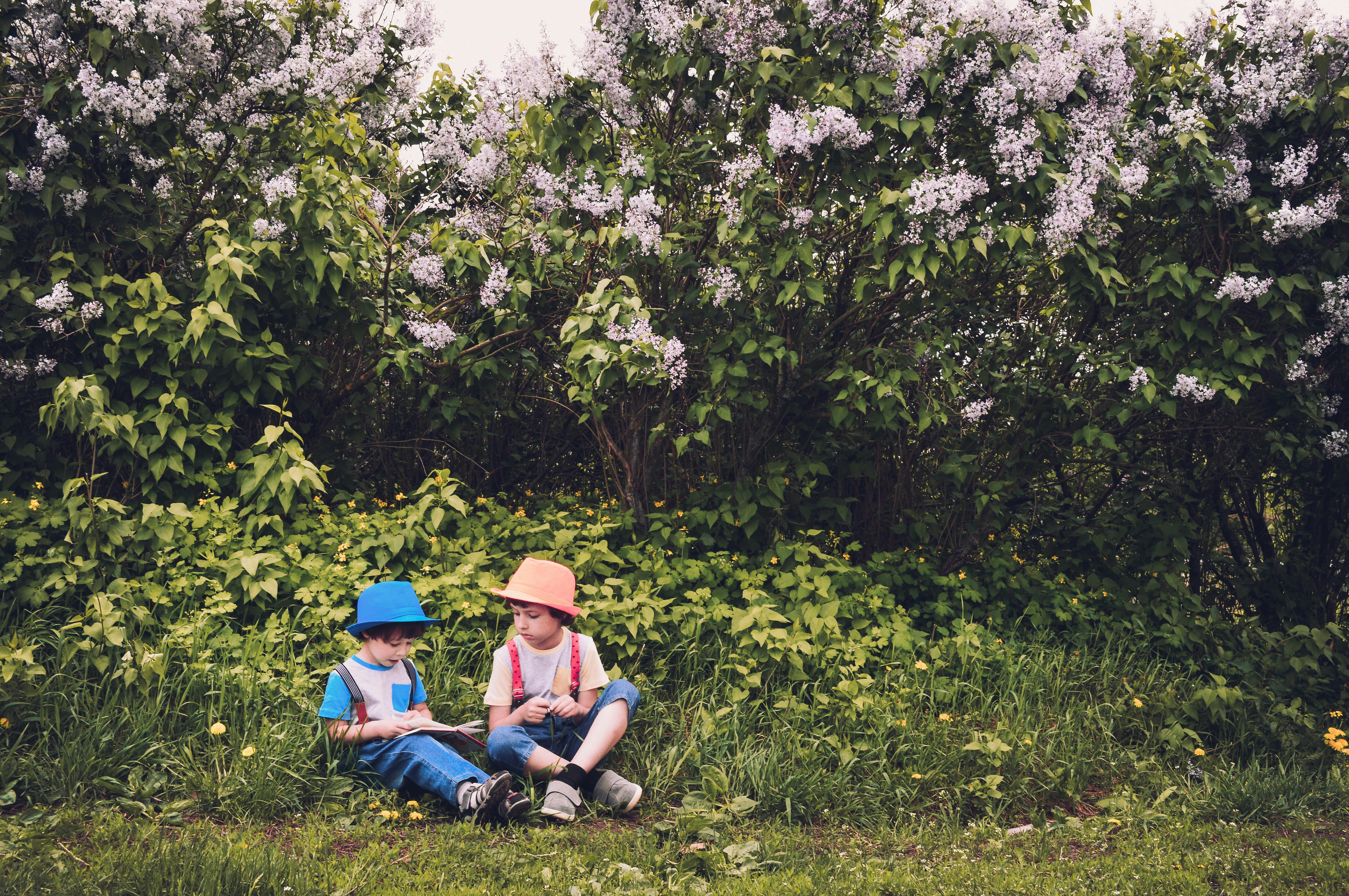 Children playing in the park | Source: Pexels