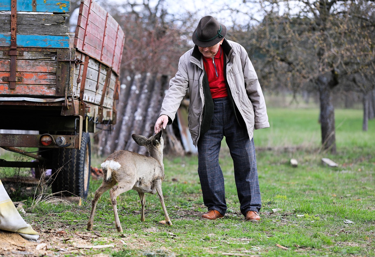 An elderly man pictured outdoors with a deer | Source: Pixabay