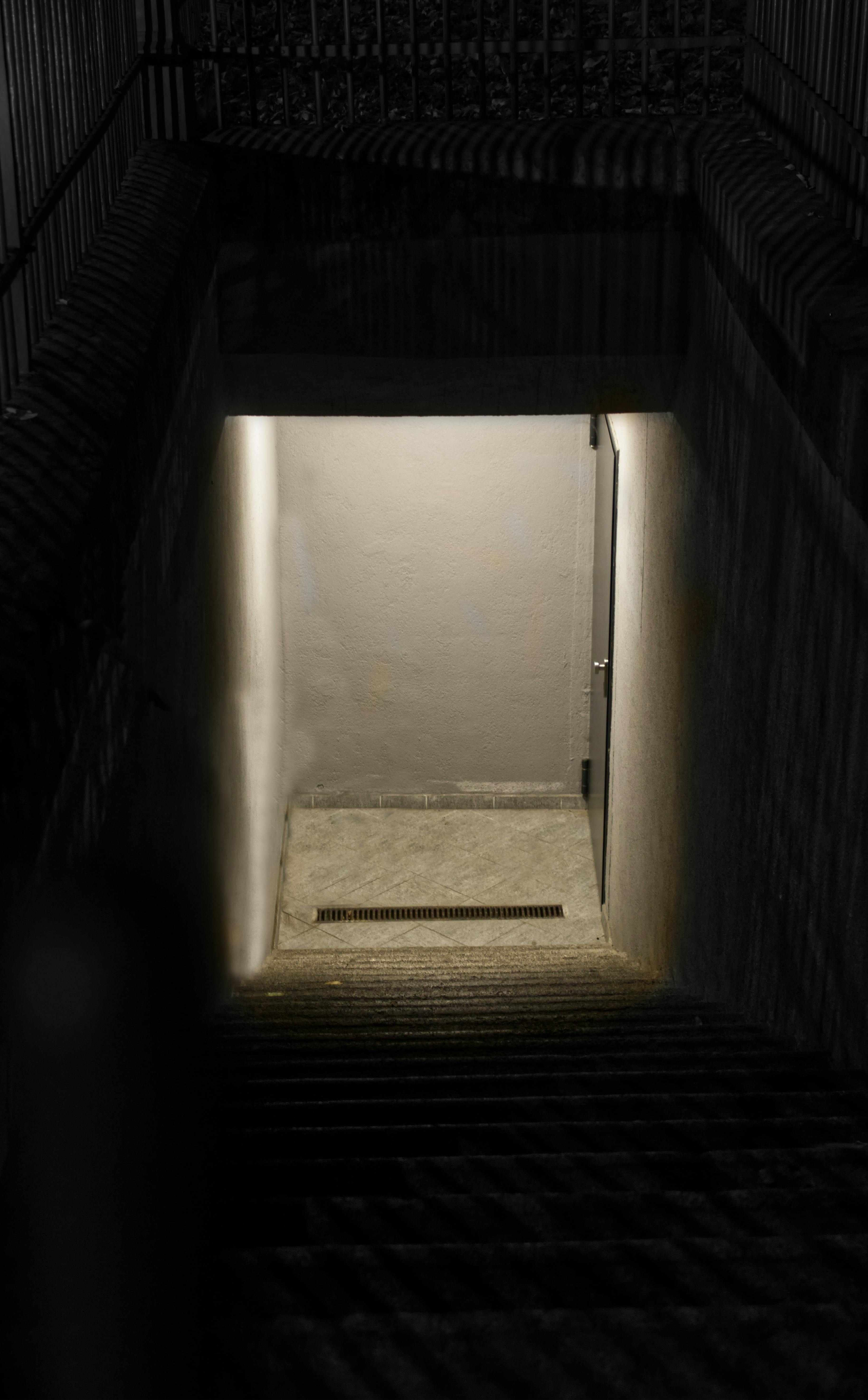 Stairs leading to a basement door | Source: Pexels