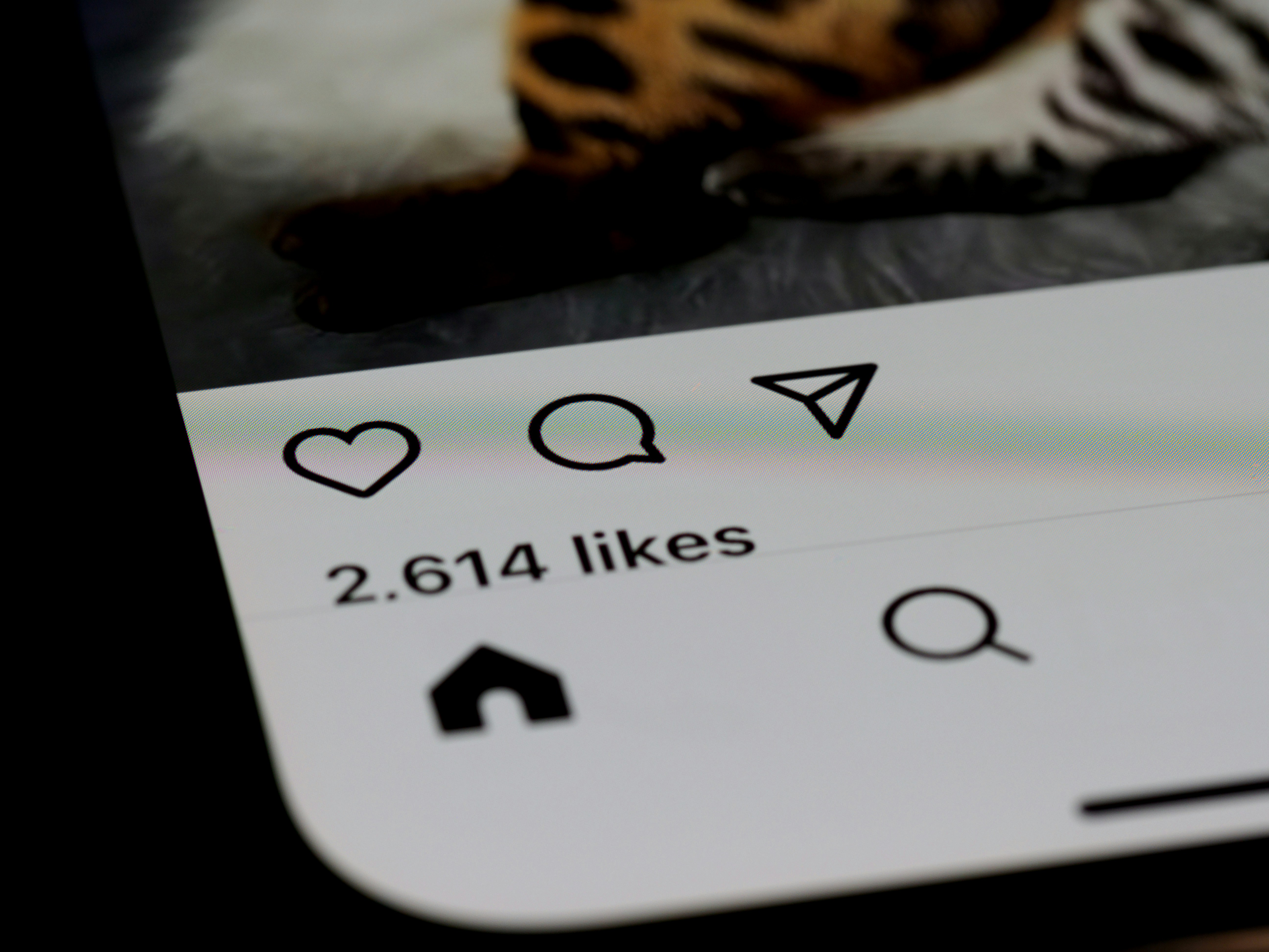 The number of likes on a social media post | Source: Unsplash