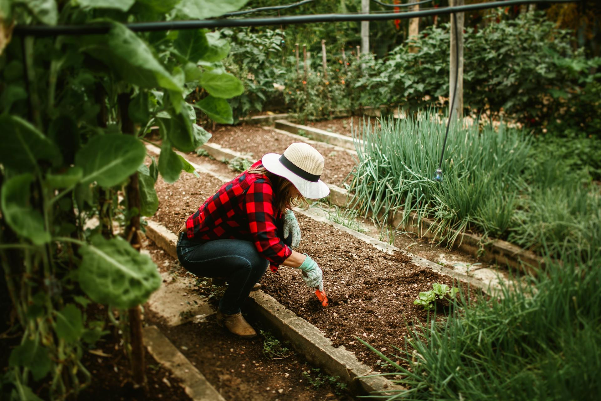 A woman working in the garden | Source: Pexels