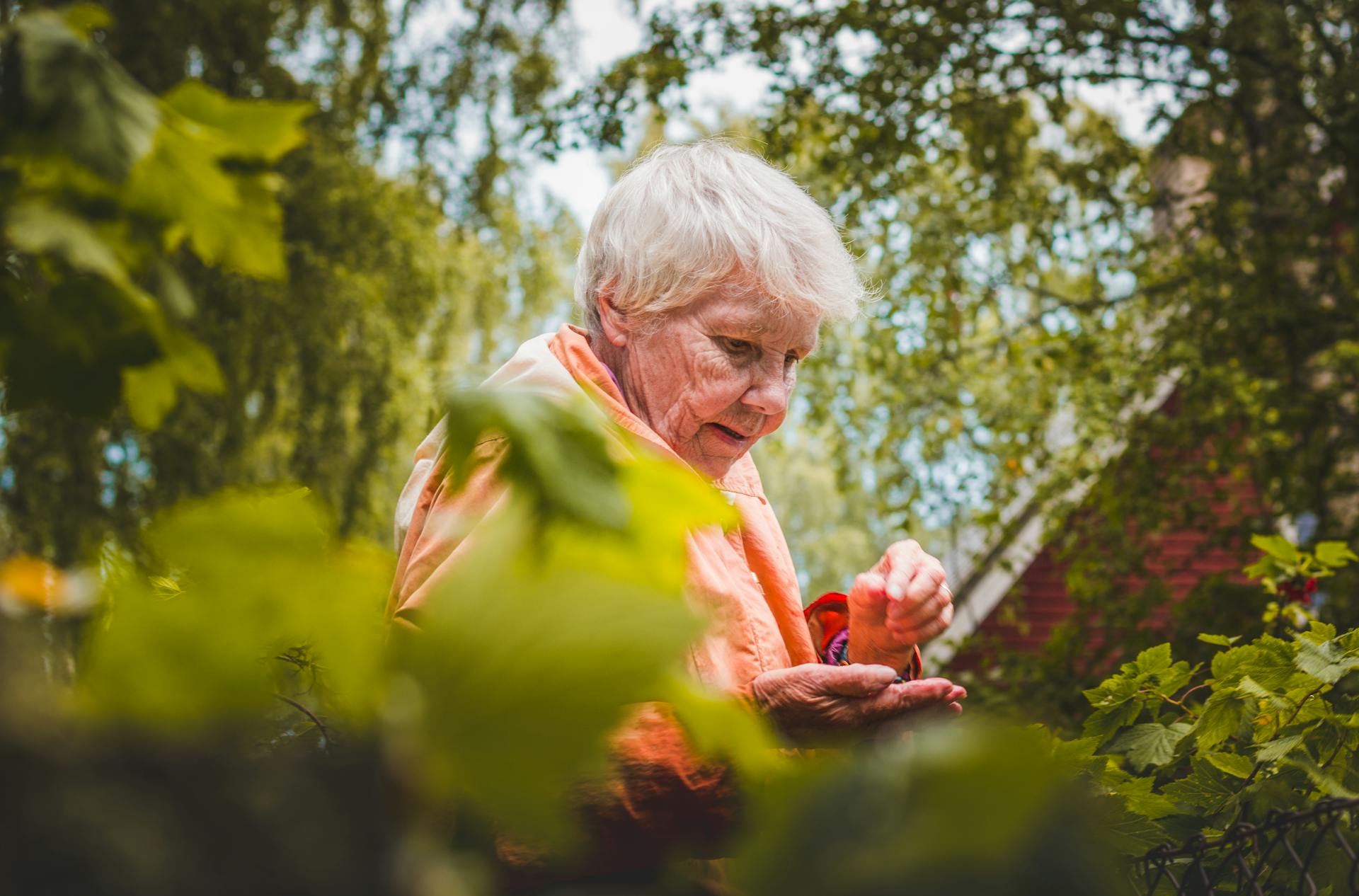 A grandma standing near the plants | Source: Pexels