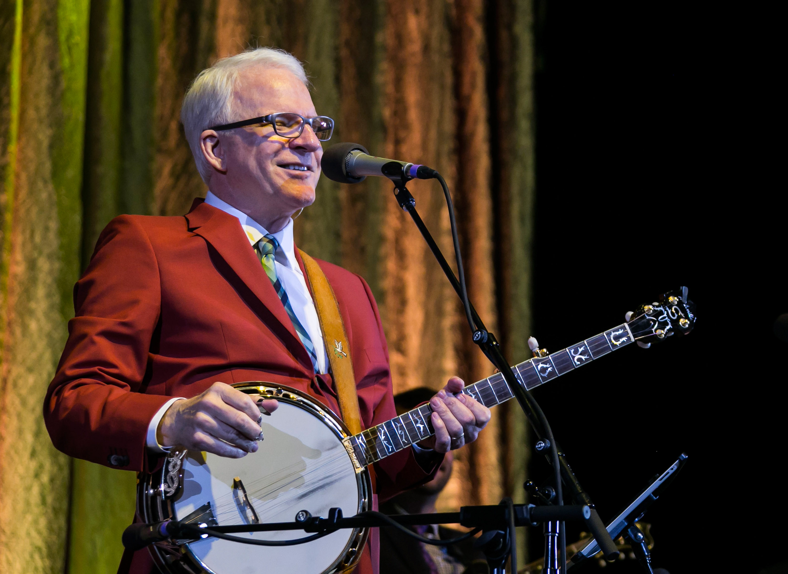 Steve Martin teve Martin at The Soundboard, Motor City Casino on June 5, 2014 in Detroit, Michigan | Source: Getty Images