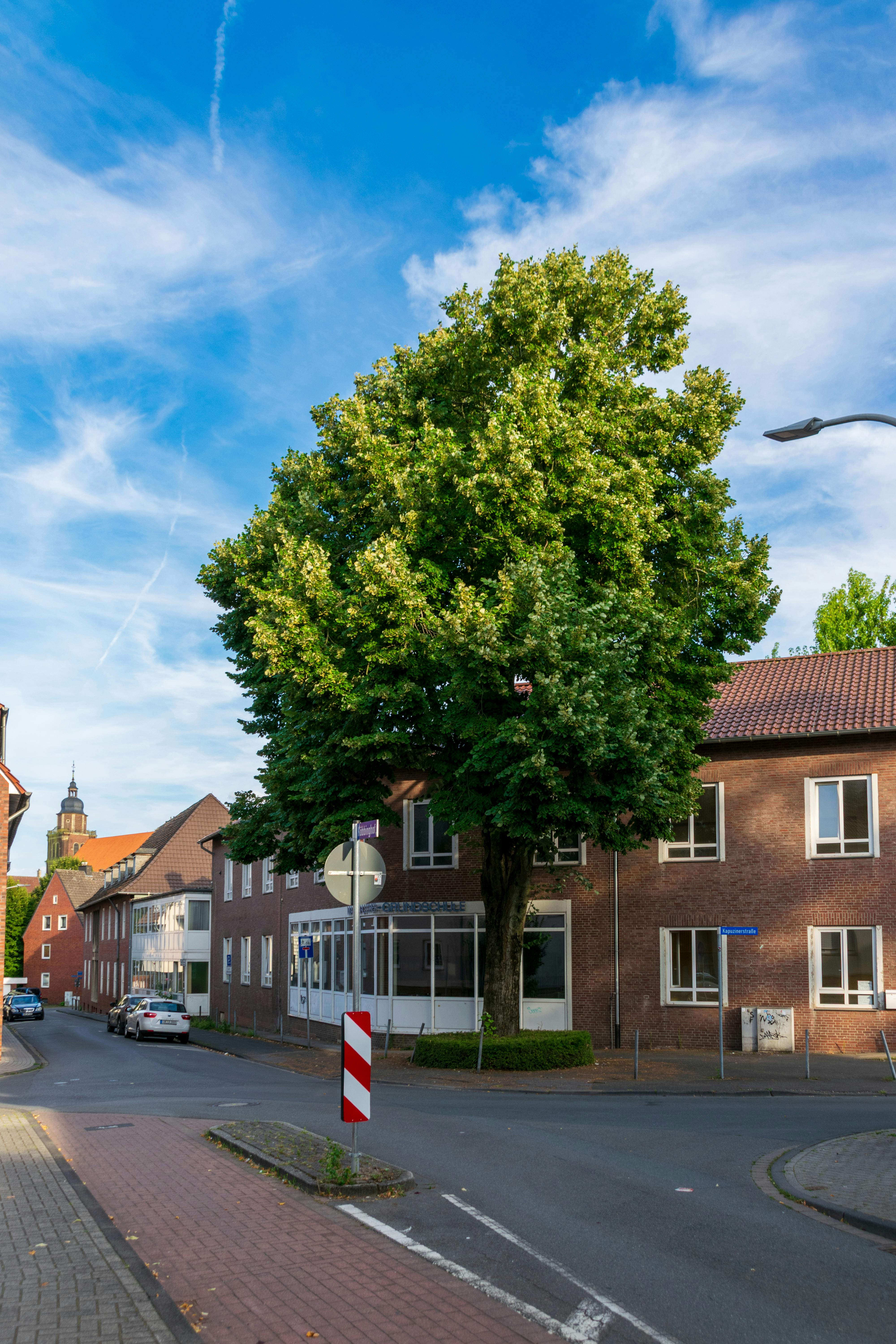 A nice and quiet neighborhood | Source: Pexels