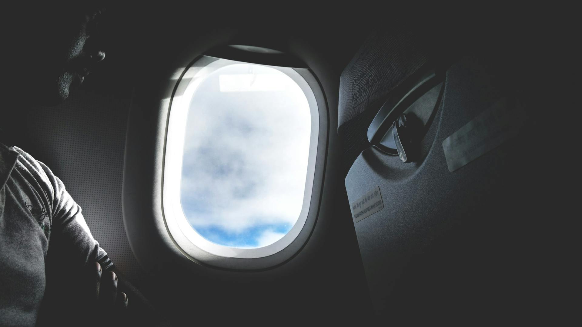 The back of an airplane seat | Source: Pexels
