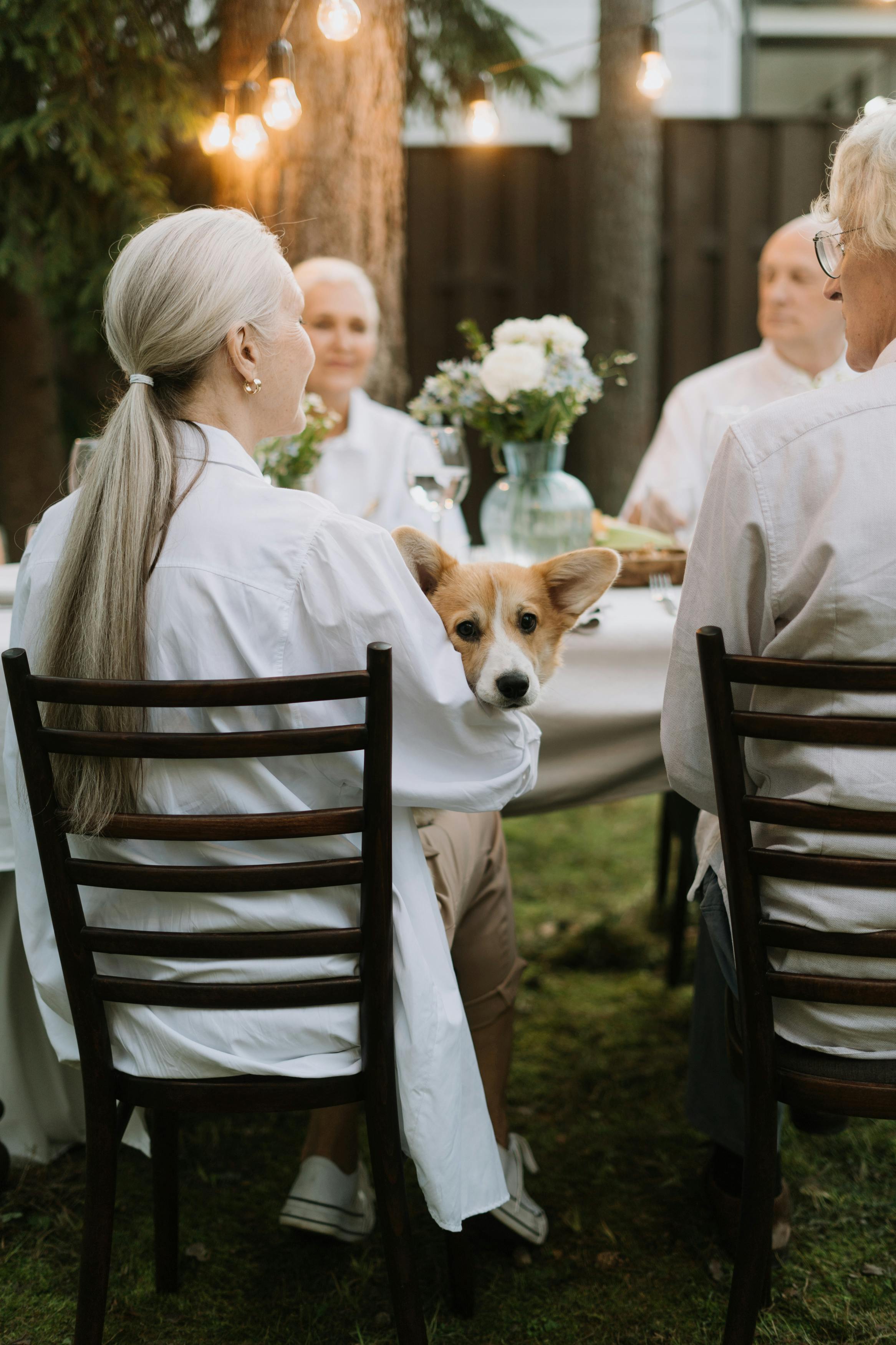 People having dinner | Source: Pexels