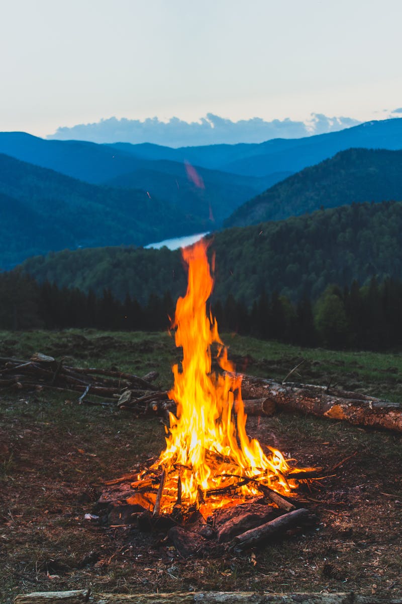 For illustration purposes only. | Source: Pexels