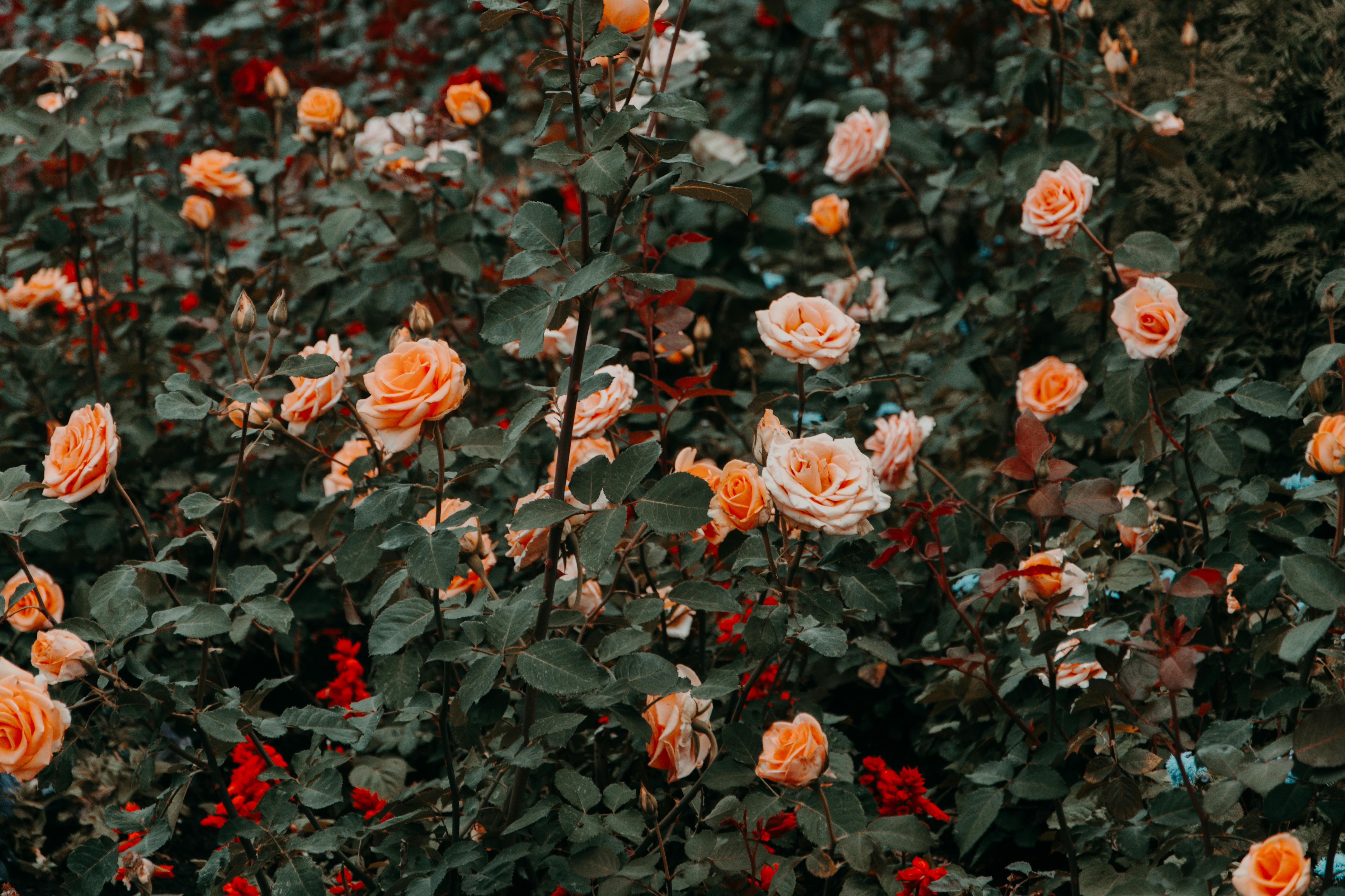 For illustration purposes only | Source: Pexels