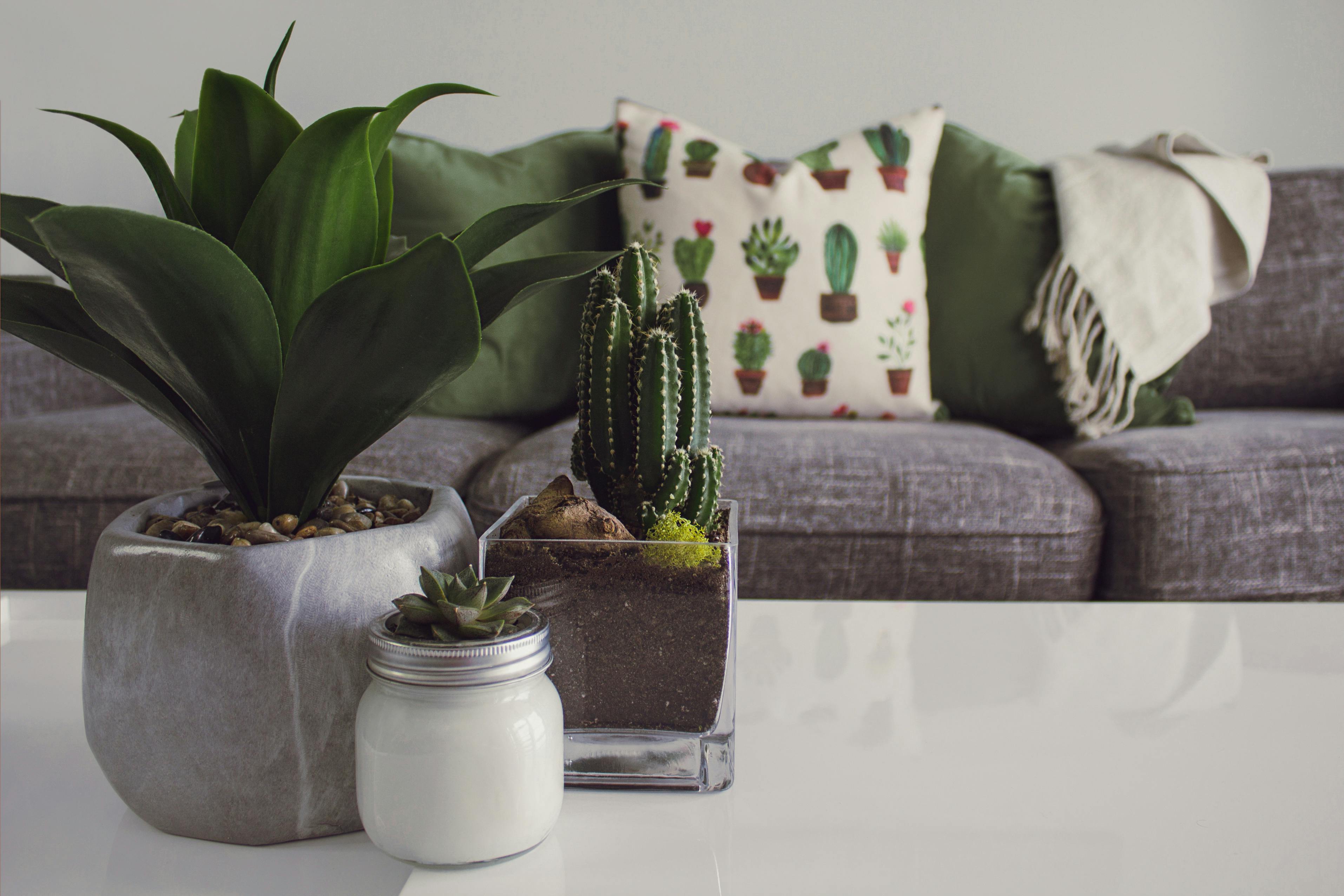 For illustration purposes only | Source: Pexels