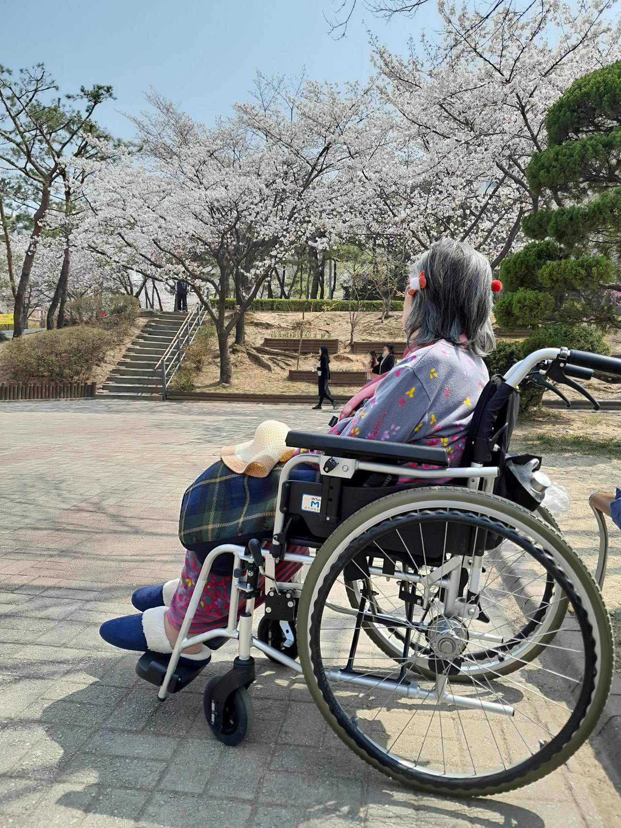 An older woman sitting in her wheelchair | Source: Pexels