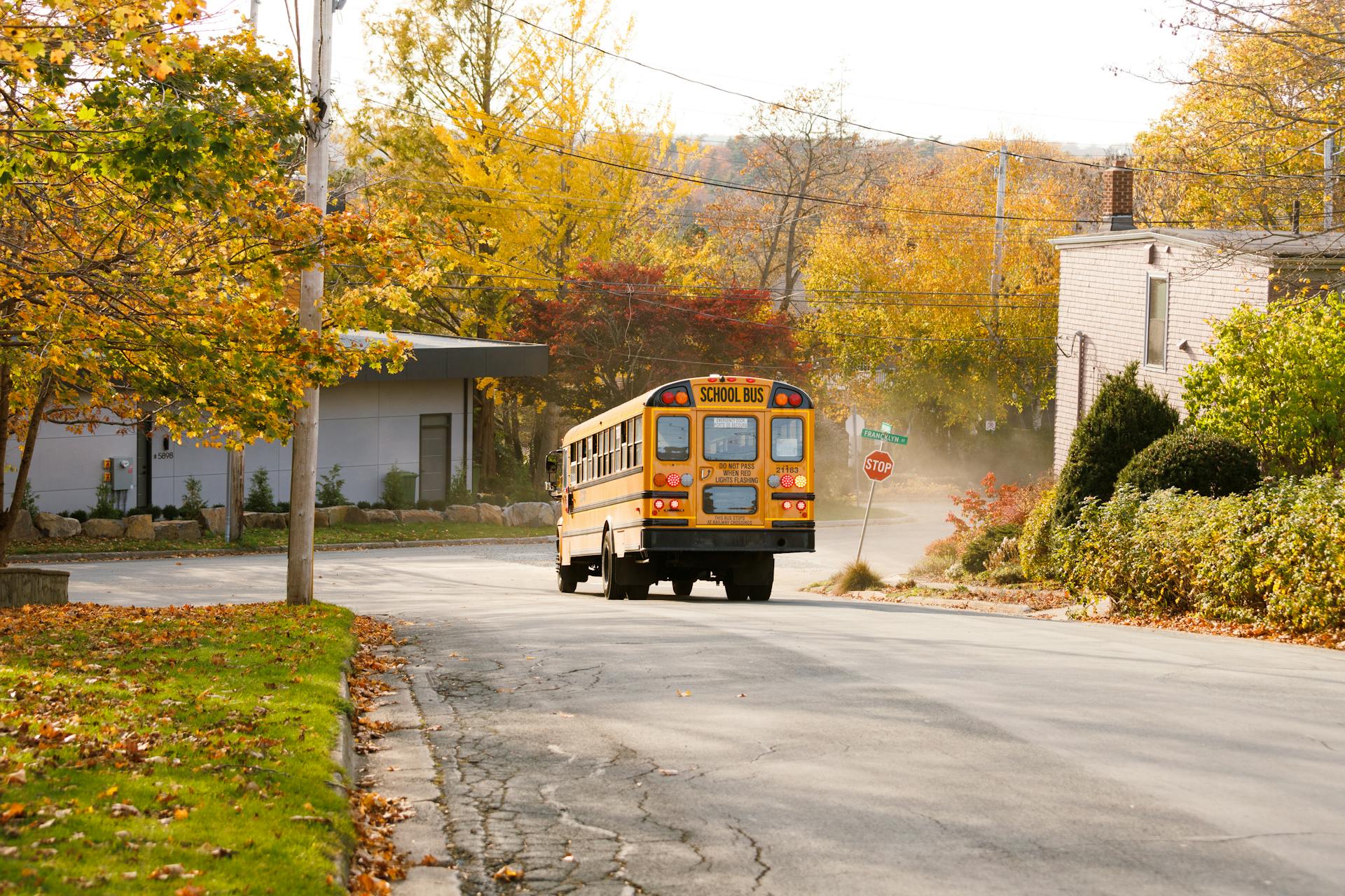 A school bus driving through a suburb | Source: Pexels
