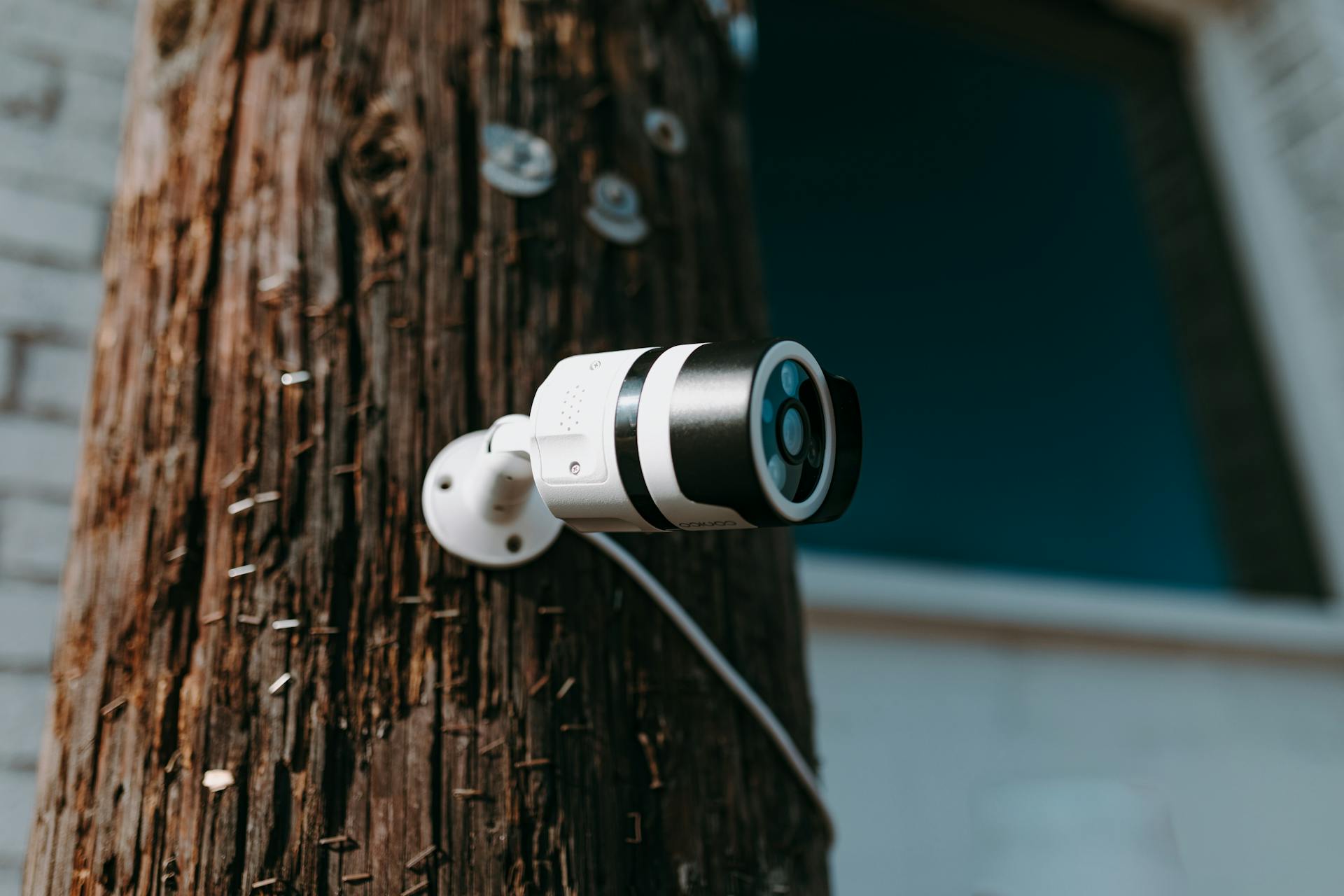 A camera mounted on a tree trunk | Source: Pexels