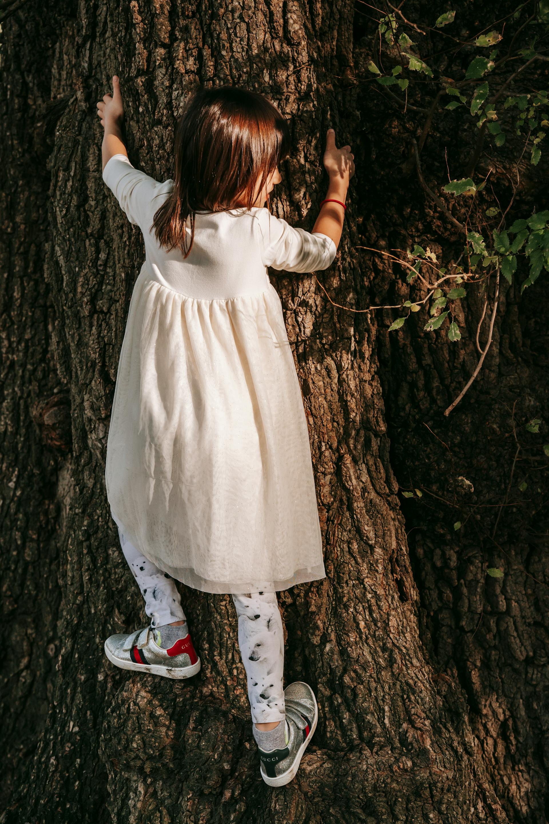 Une petite fille grimpe à un arbre | Source : Pexels