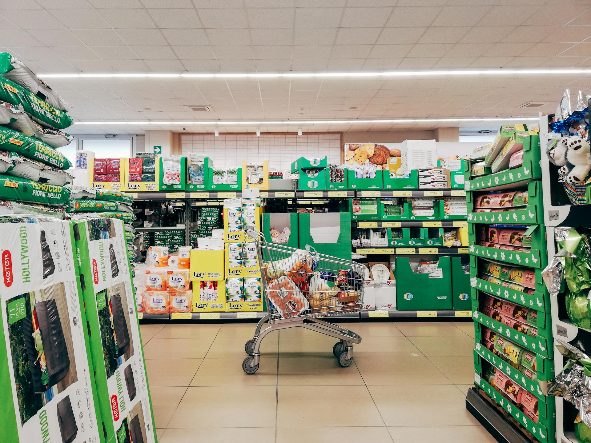 A shopping cart in a grocery store | Source: Pexels