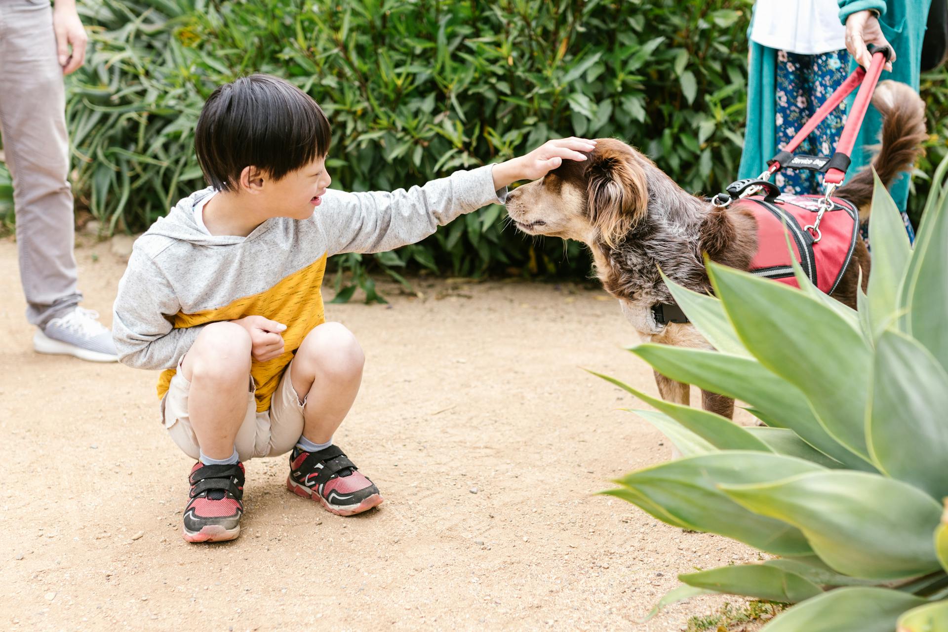 A young boy petting a dog | Source: Pexels
