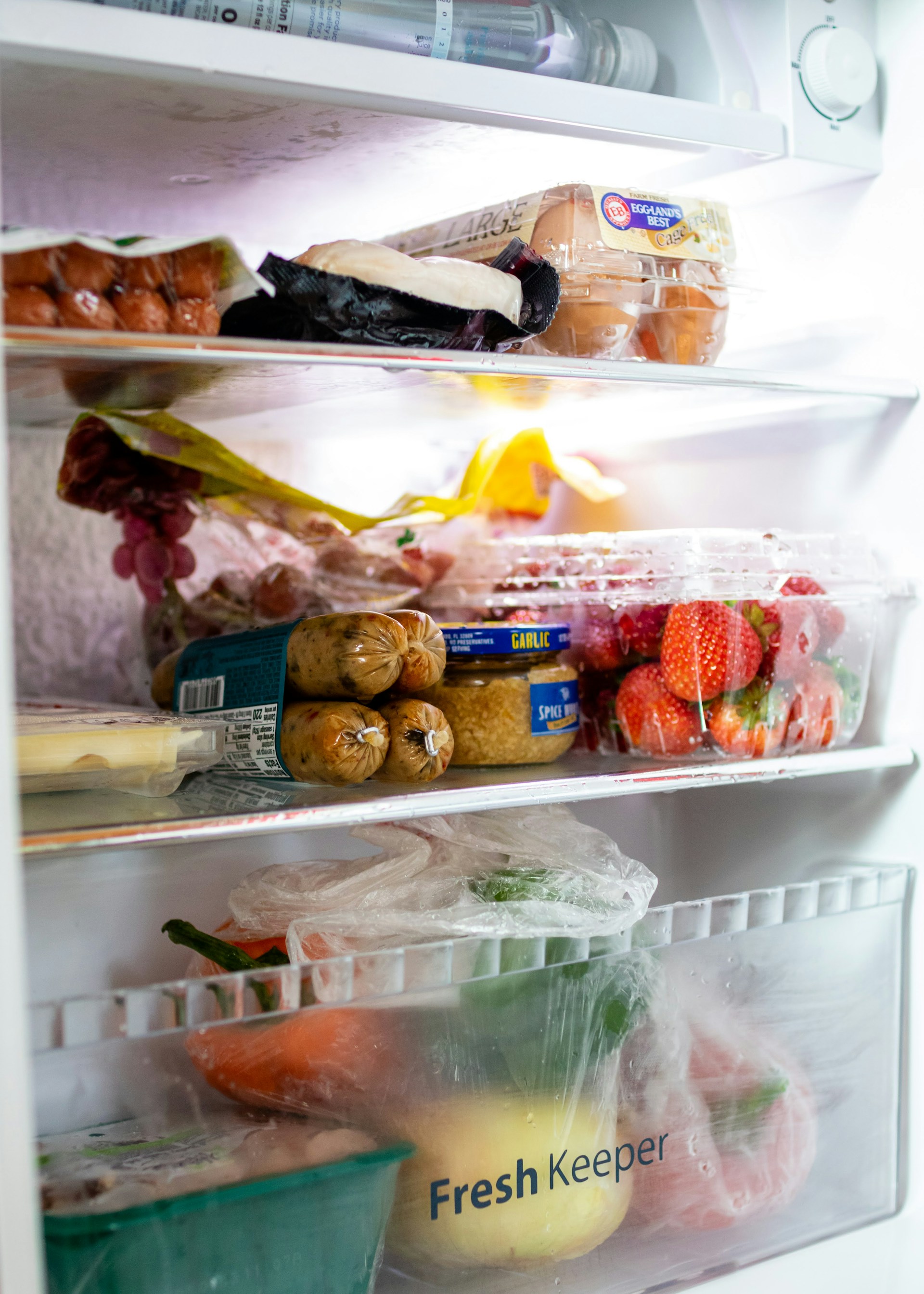 Food stocked in a fridge | Source: Unsplash