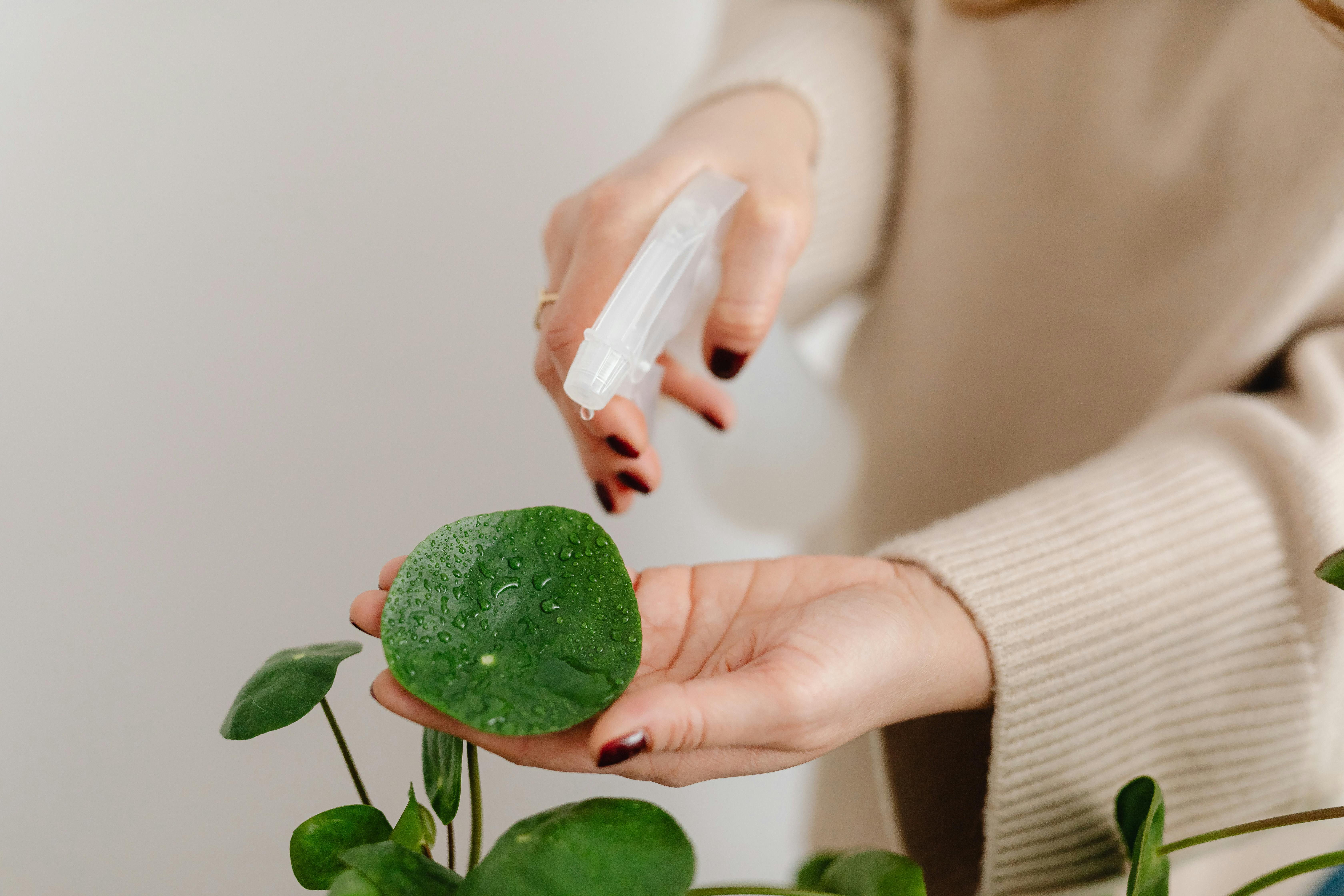 A woman watering plants | Source: Pexels