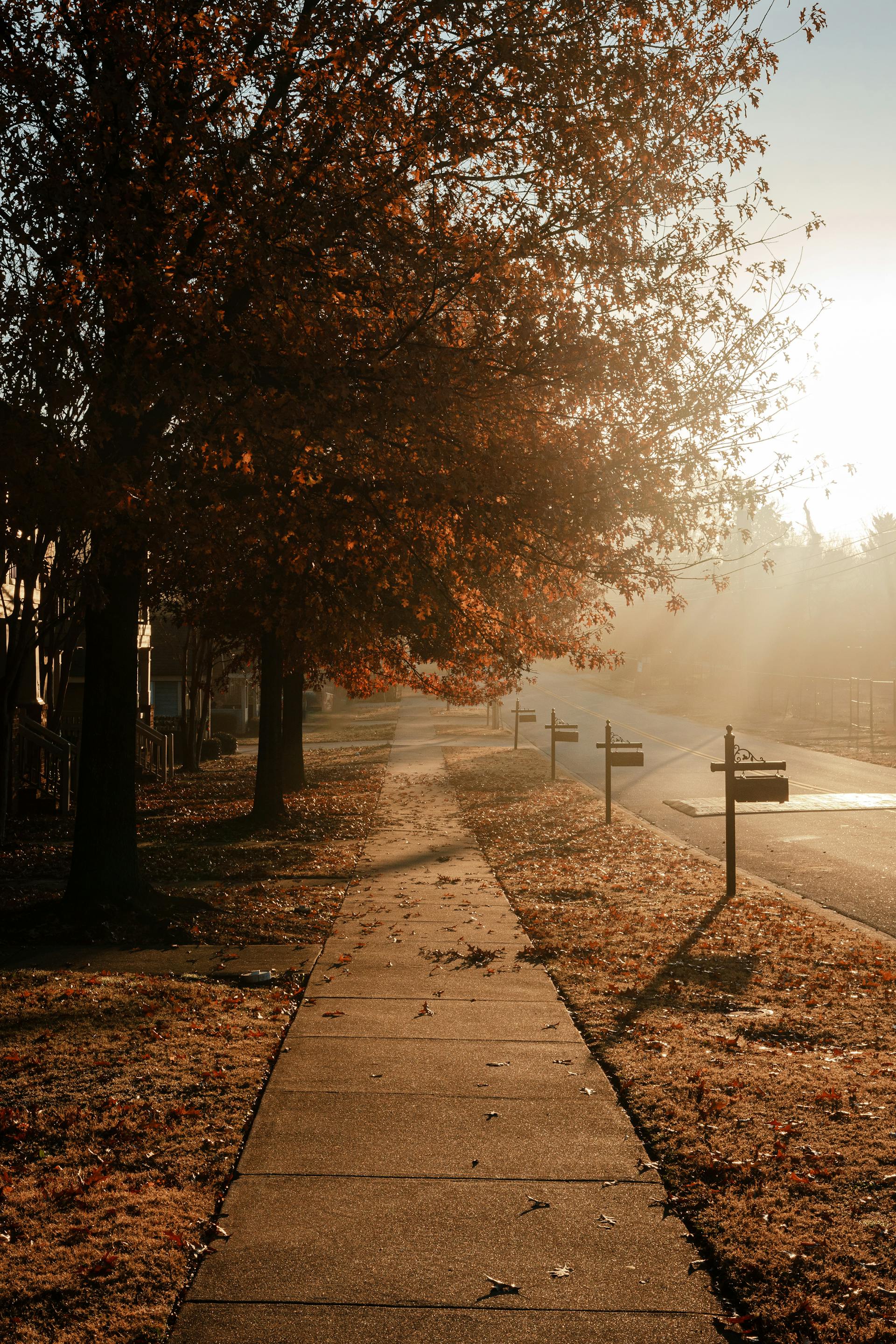 Sunrise in a suburban area | Source: Pexels