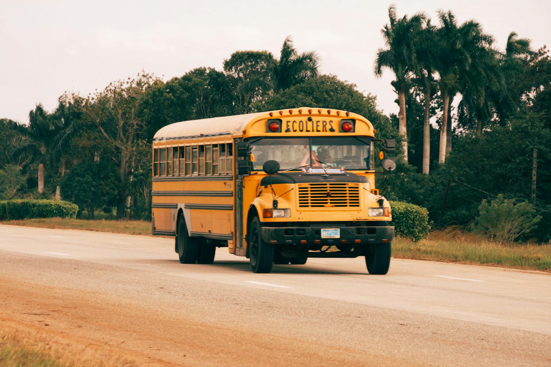 A school bus | Source: Pexels