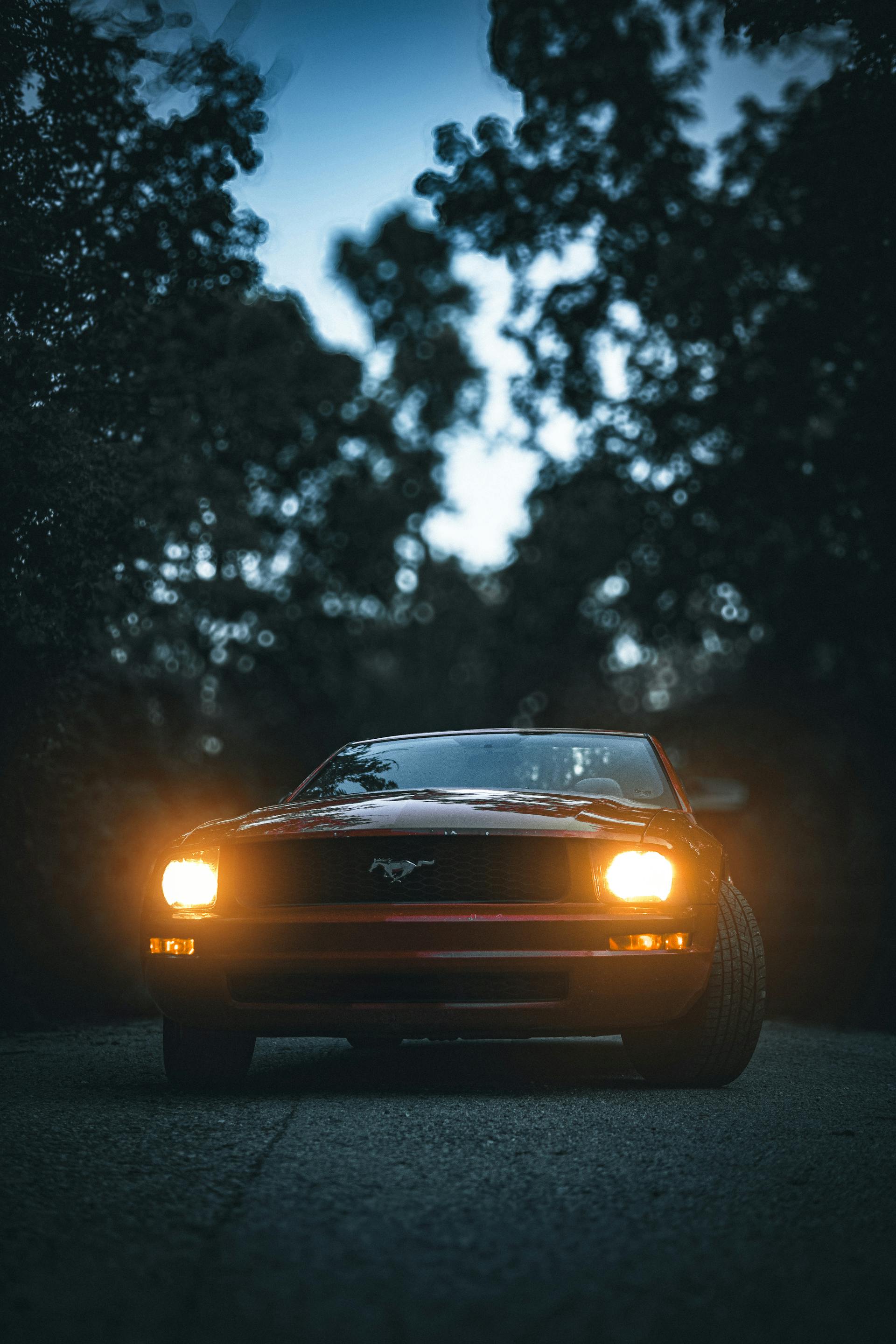 Night shot of a car parked under a tree | Source: Pexels