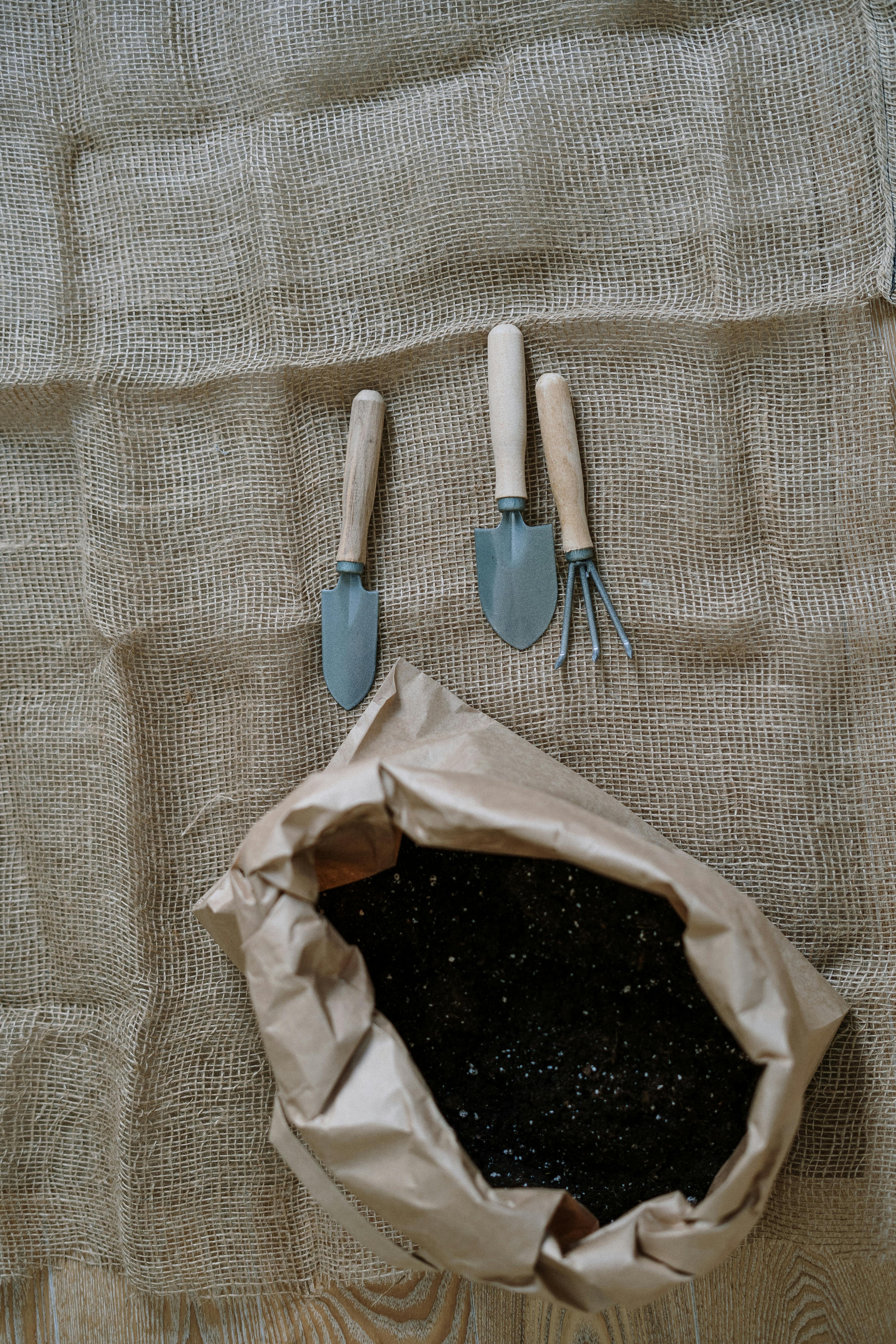 Potting soil and planting tools on material | Source: Pexels