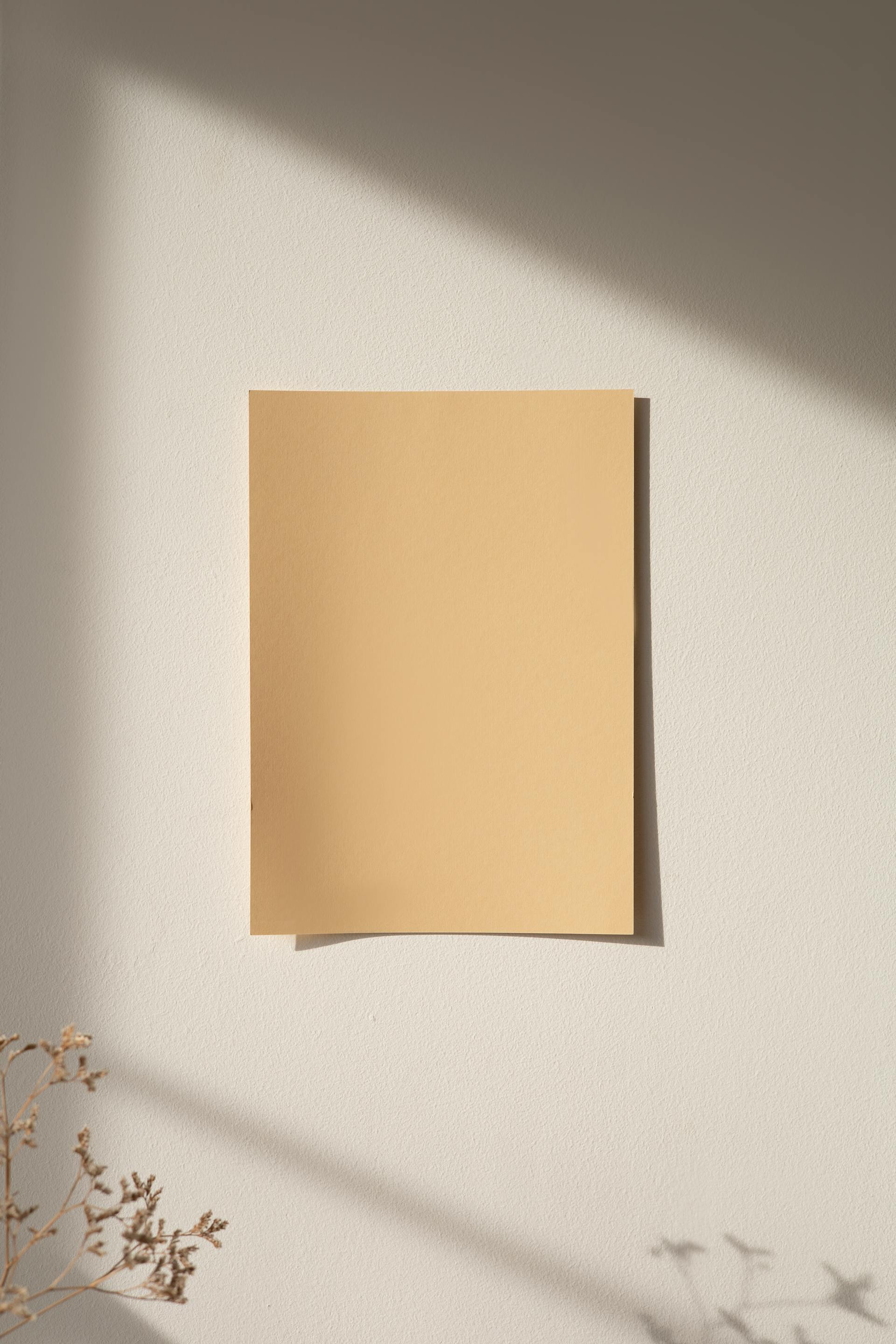 A piece of paper | Source: Pexels