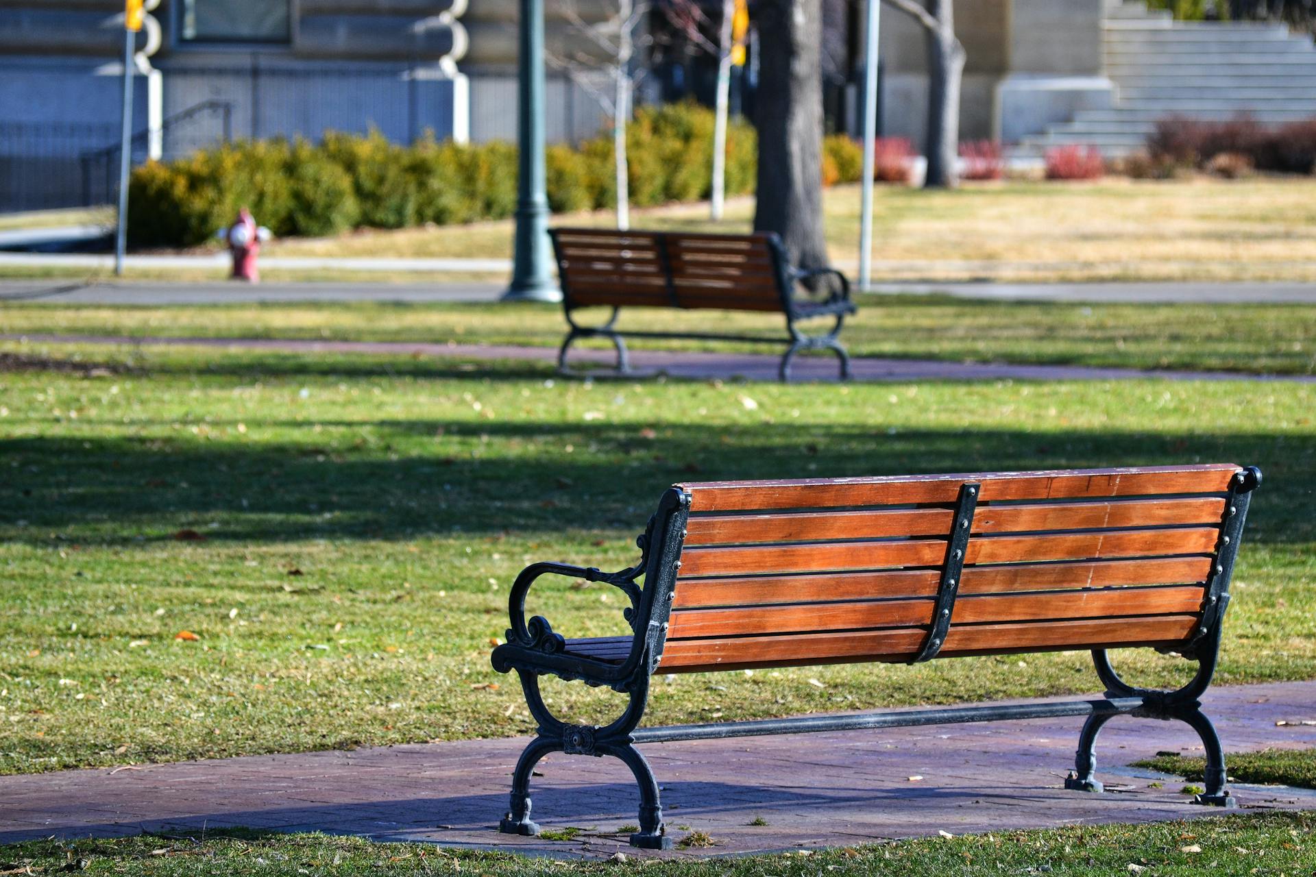 A bench | Source: Pexels