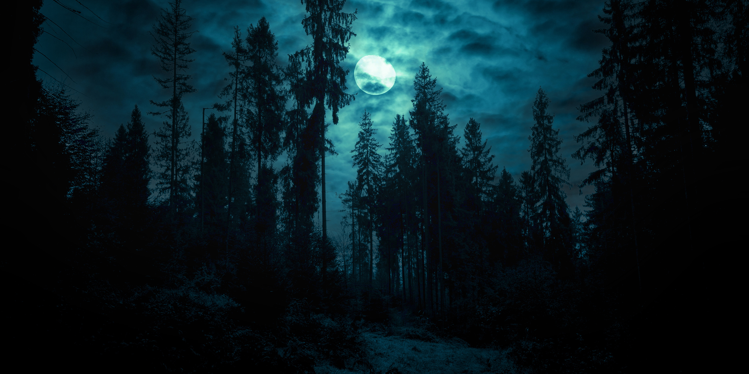 Moonrise over haunted woods | Source: Shutterstock