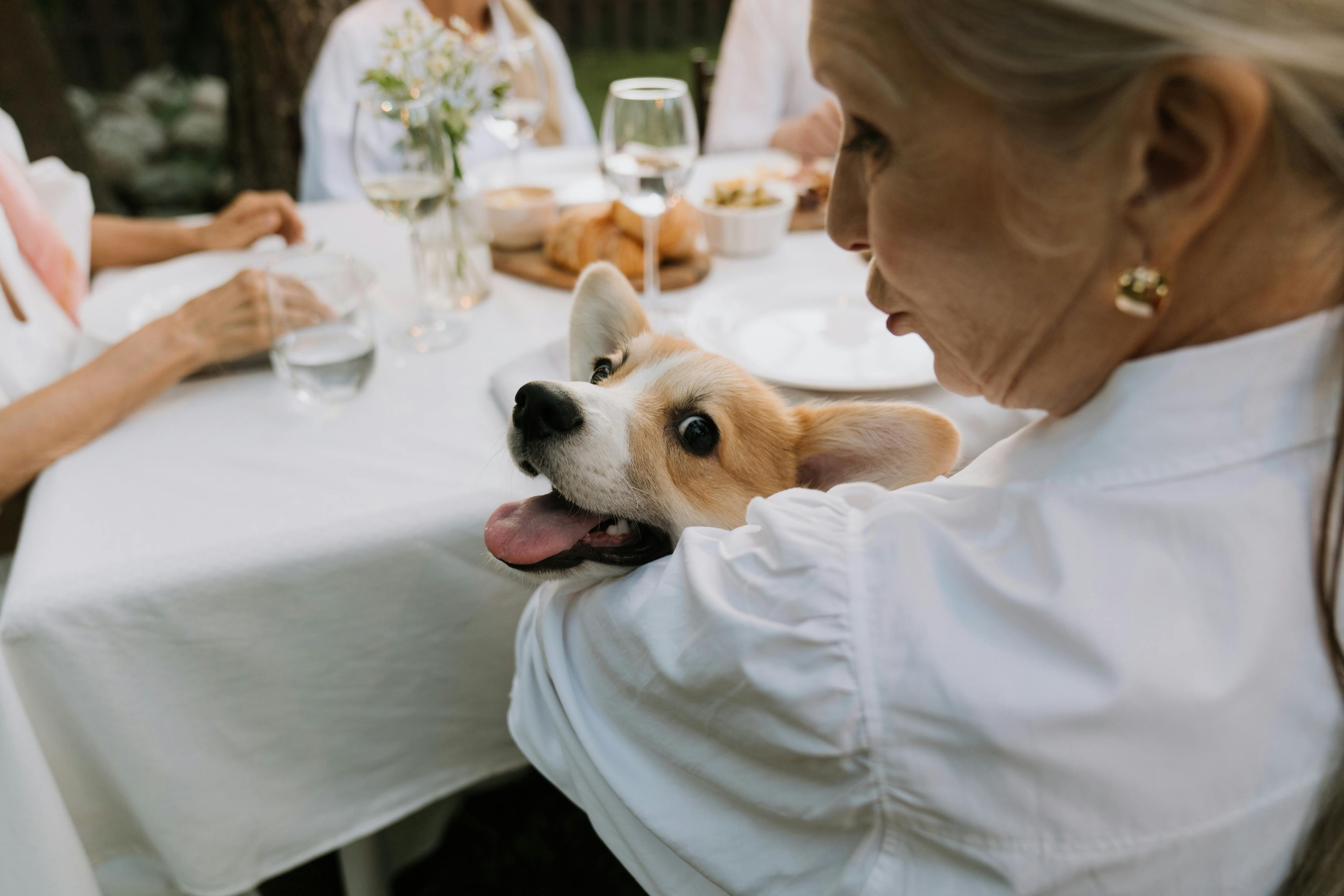 A woman holding a pet dog | Source: Pexels