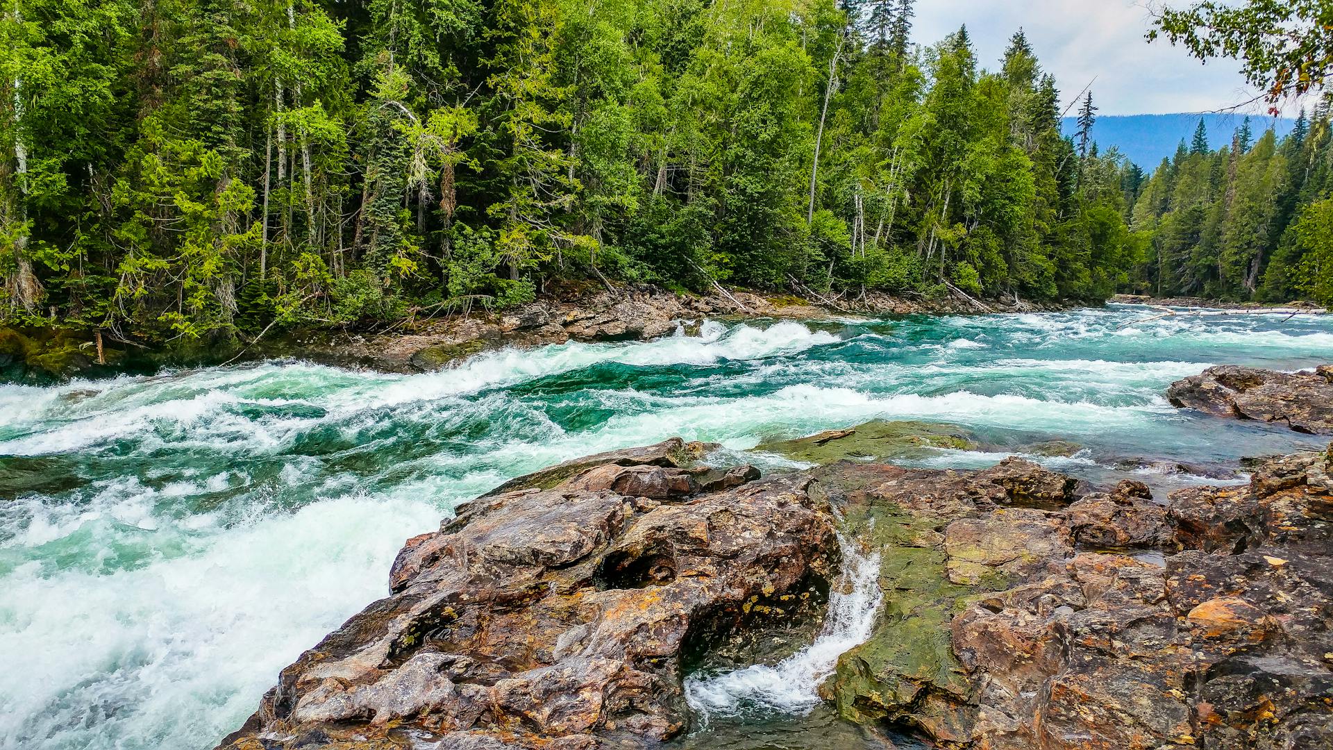 A river | Source: Pexels