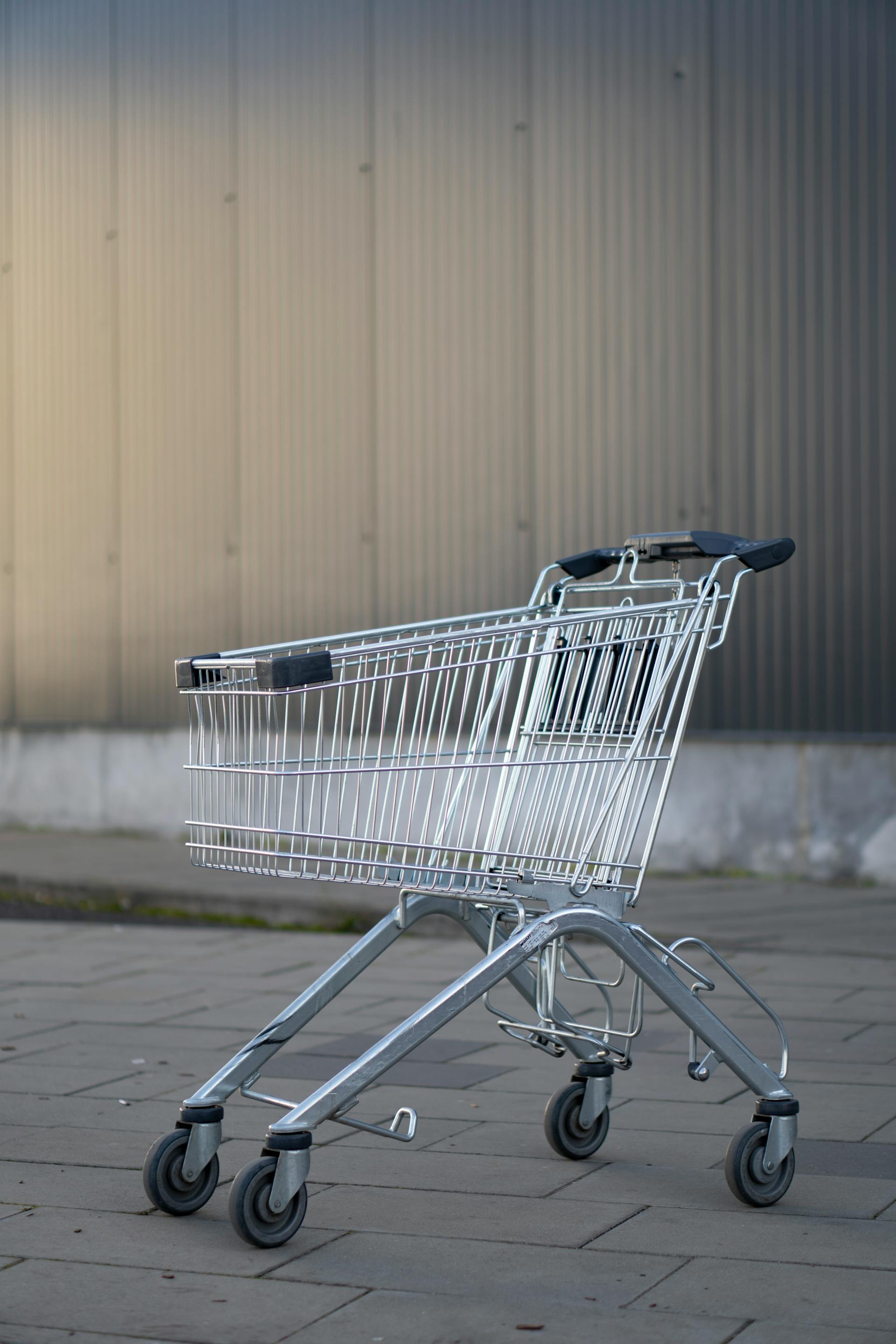 A Mom of 7 Demanded My Deaf Grandpa Get Out of the Elevator—So I Brought Her Back to Reality 4 A shopping cart | Source: Pexels