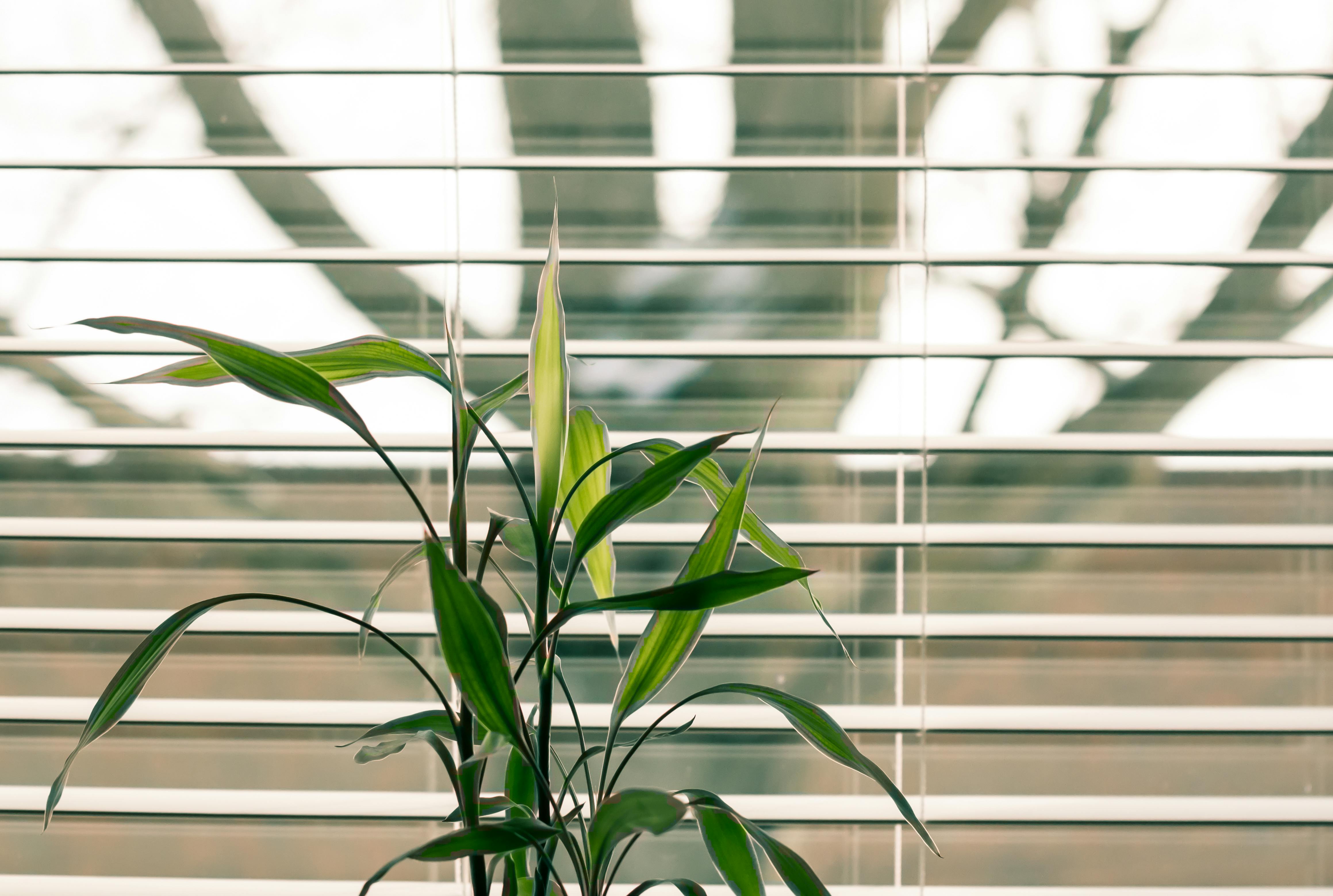 For illustration purposes only. | Source: Pexels