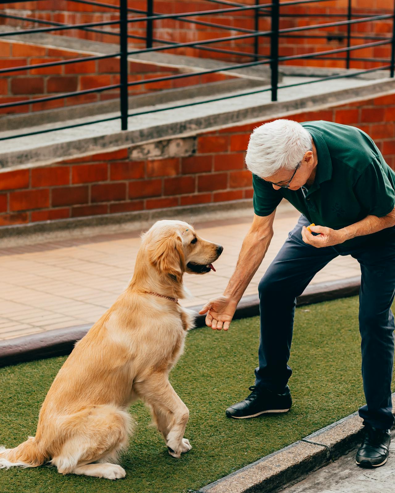 An older man petting an adorable dog | Source: Pexels