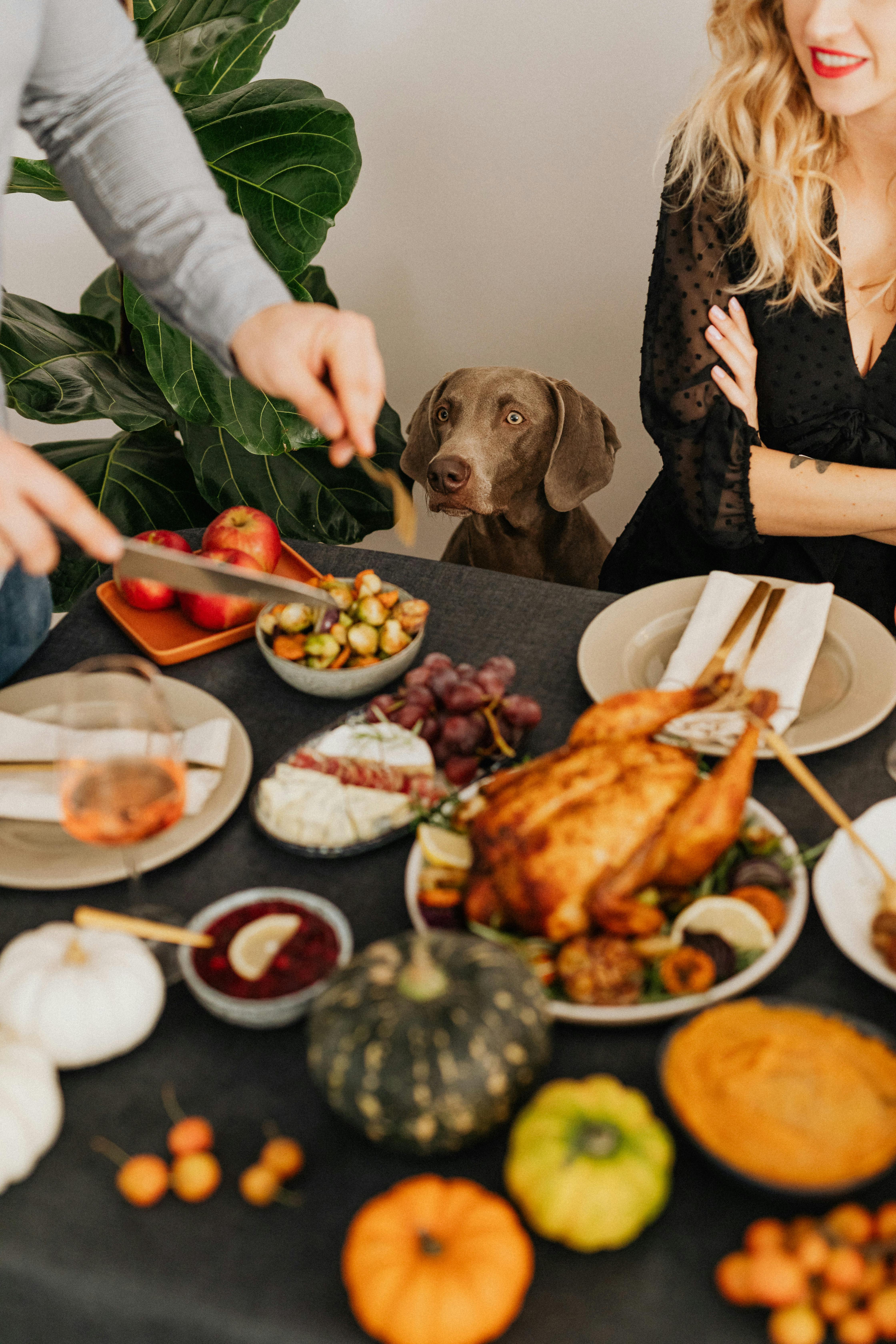 A family with a dog during Thanksgiving dinner | Source: Pexels