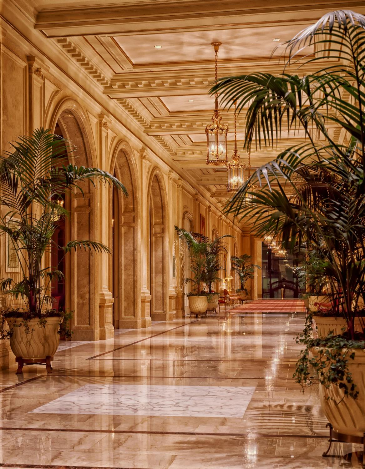 A luxurious hotel | Source: Pexels