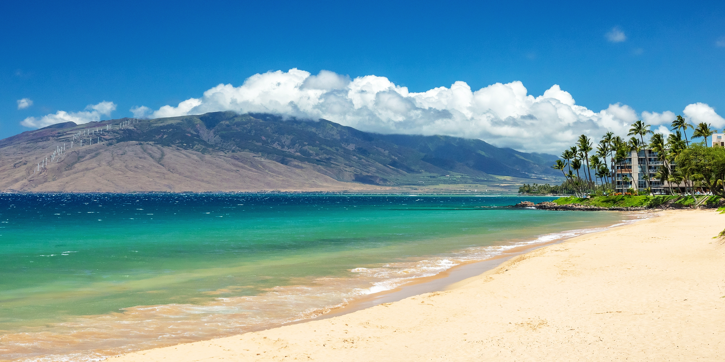 A beautiful white-sand beach | Source: Shutterstock