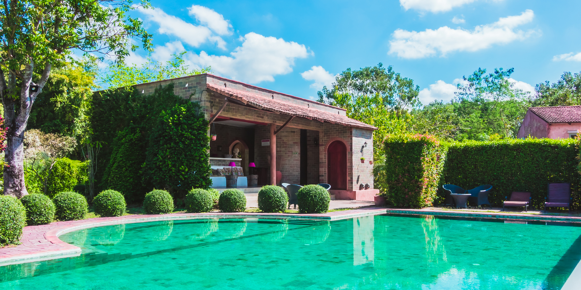 A backyard swimming pool | Source: Freepik