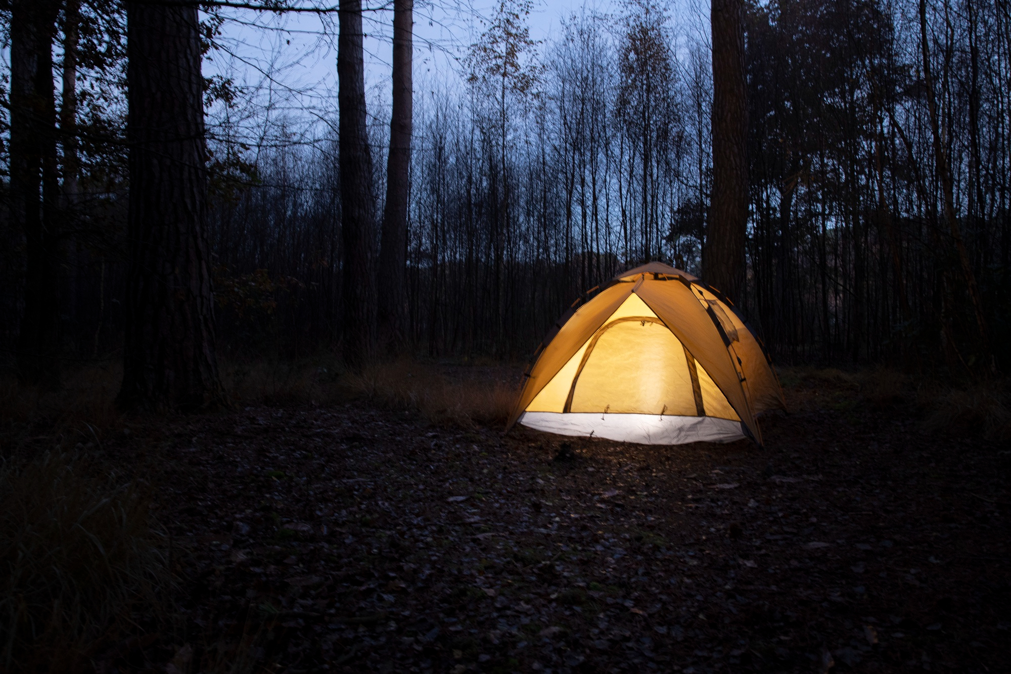 A camp at night | Source: Freepik