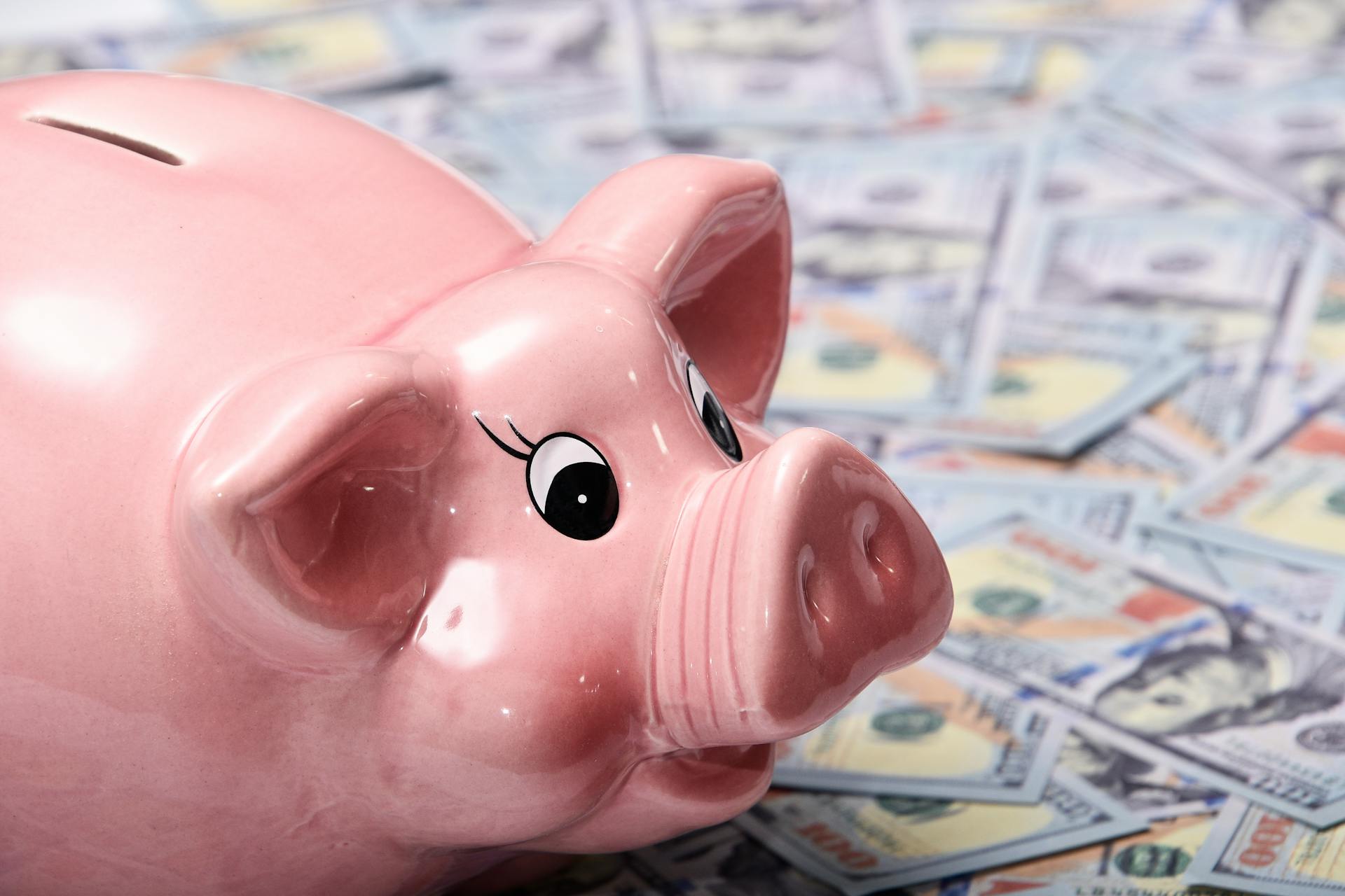 Close-up shot of a piggy bank and wads of money | Source: Pexels