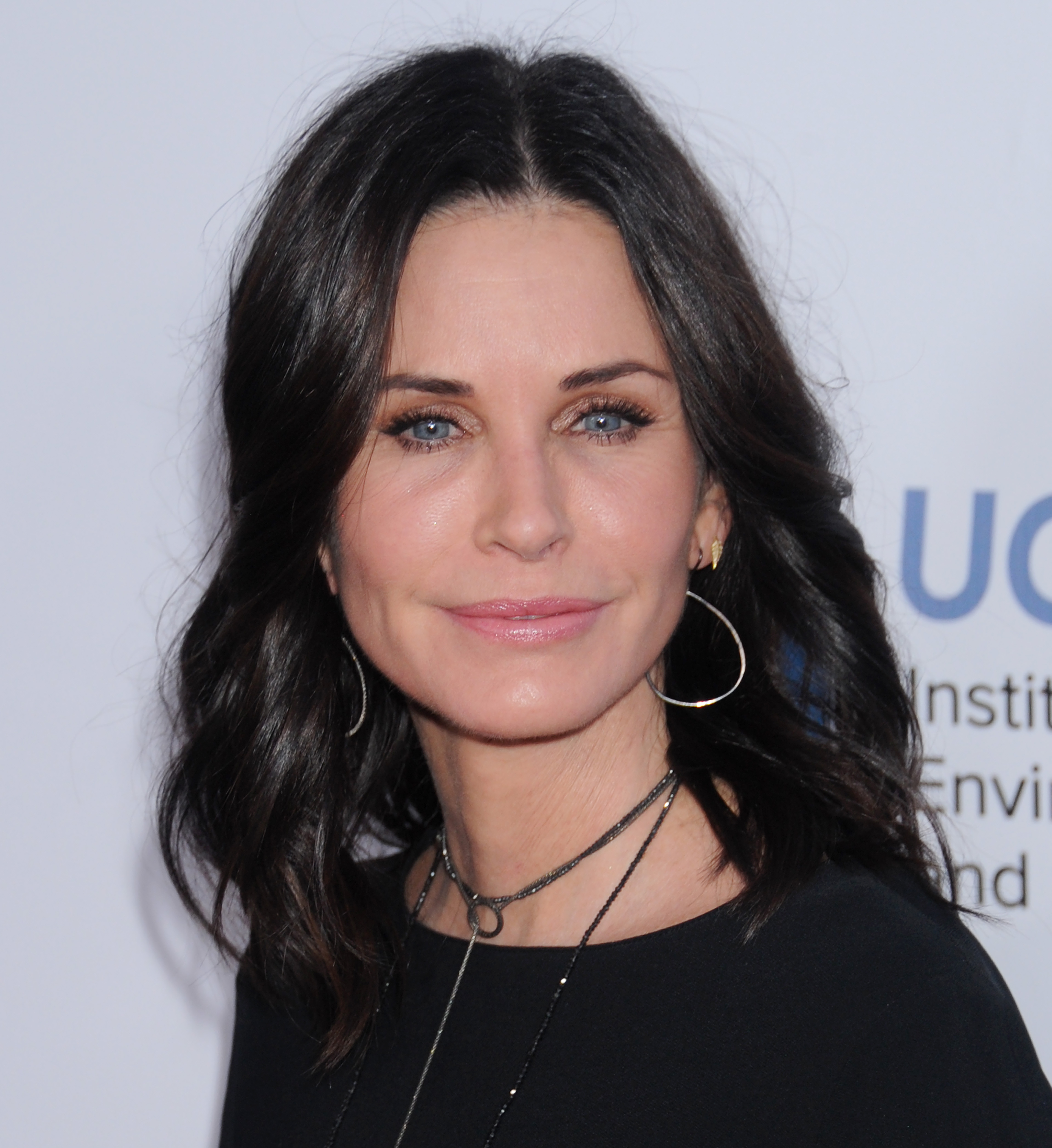 Courteney Cox attends UCLA Institute of the Environment and Sustainability celebration on March 24, 2016, in Beverly Hills, California. | Source: Getty Images