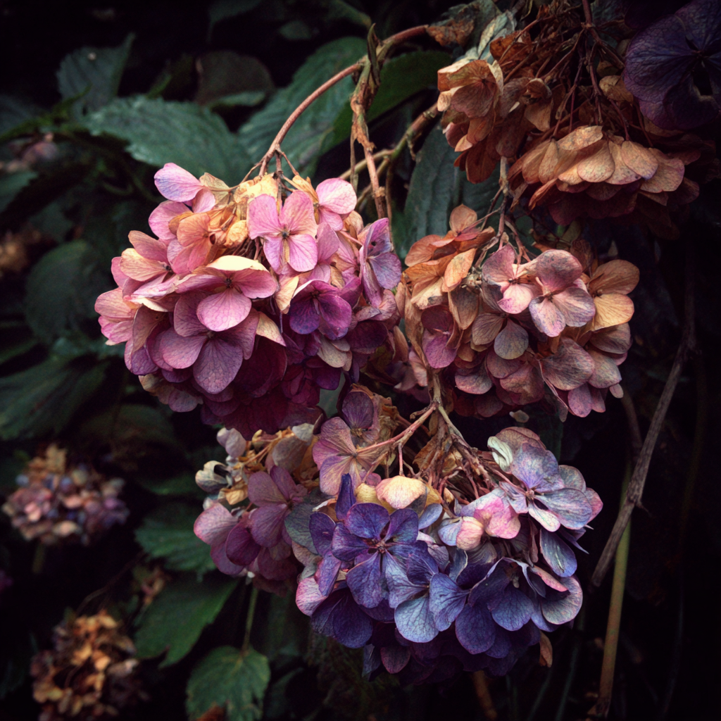Wilting flowers in a garden | Source: Midjourney