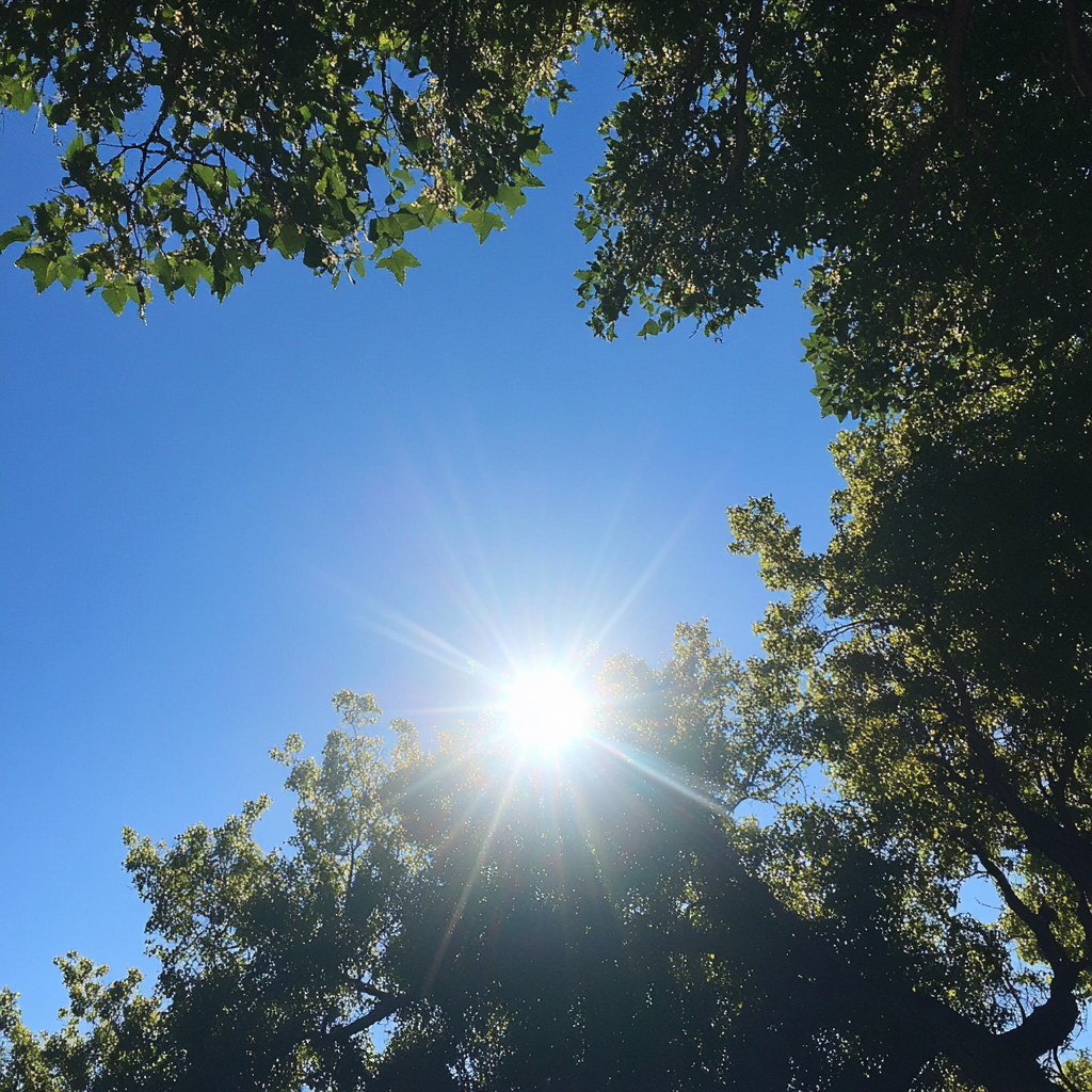 A still summer day | Source: Midjourney
